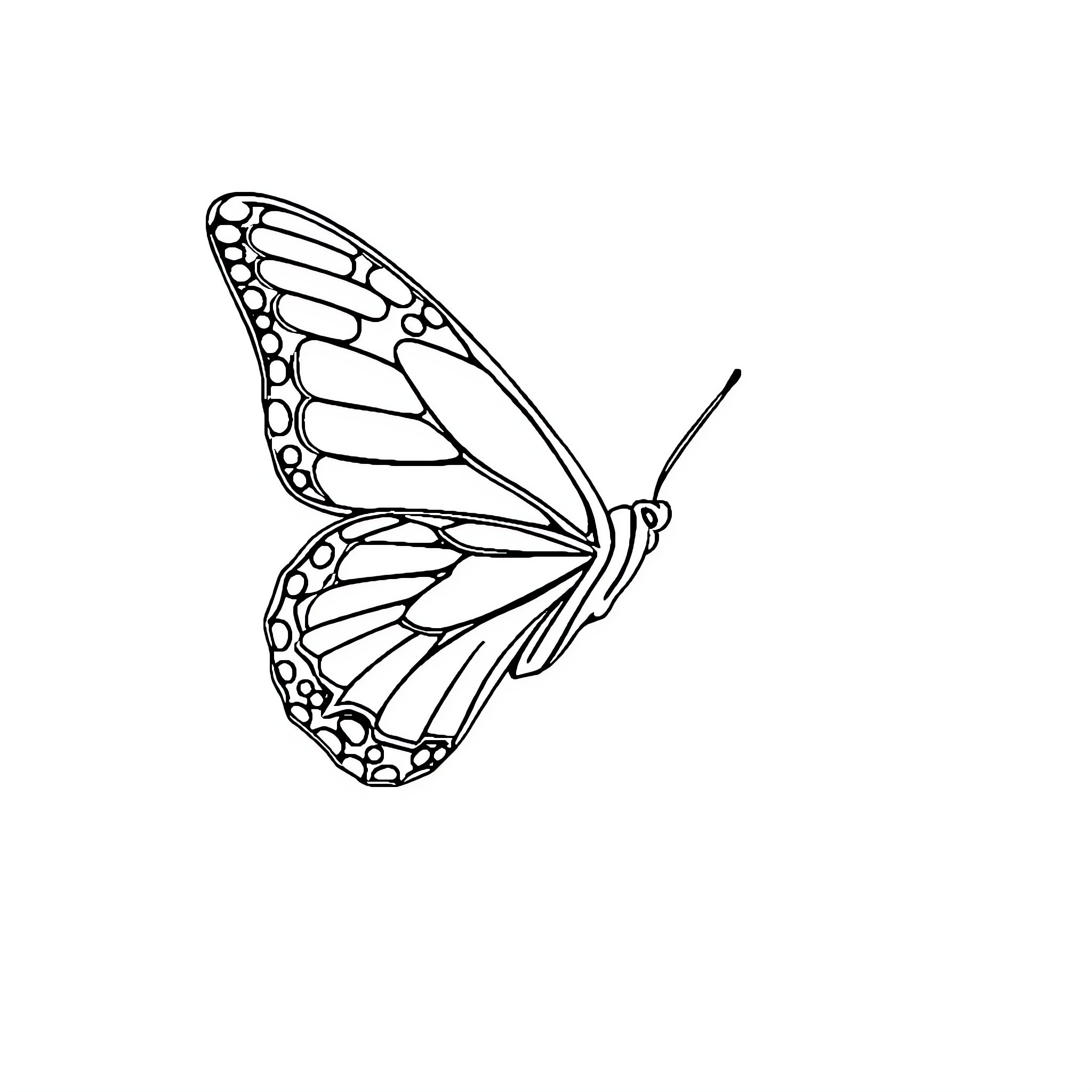 Butterfly in flight with intricate wing patterns Coloring Page (free black-and-white line drawing printable PDF for all, from beginners to advanced learners, including children, teens, adults, and seniors)