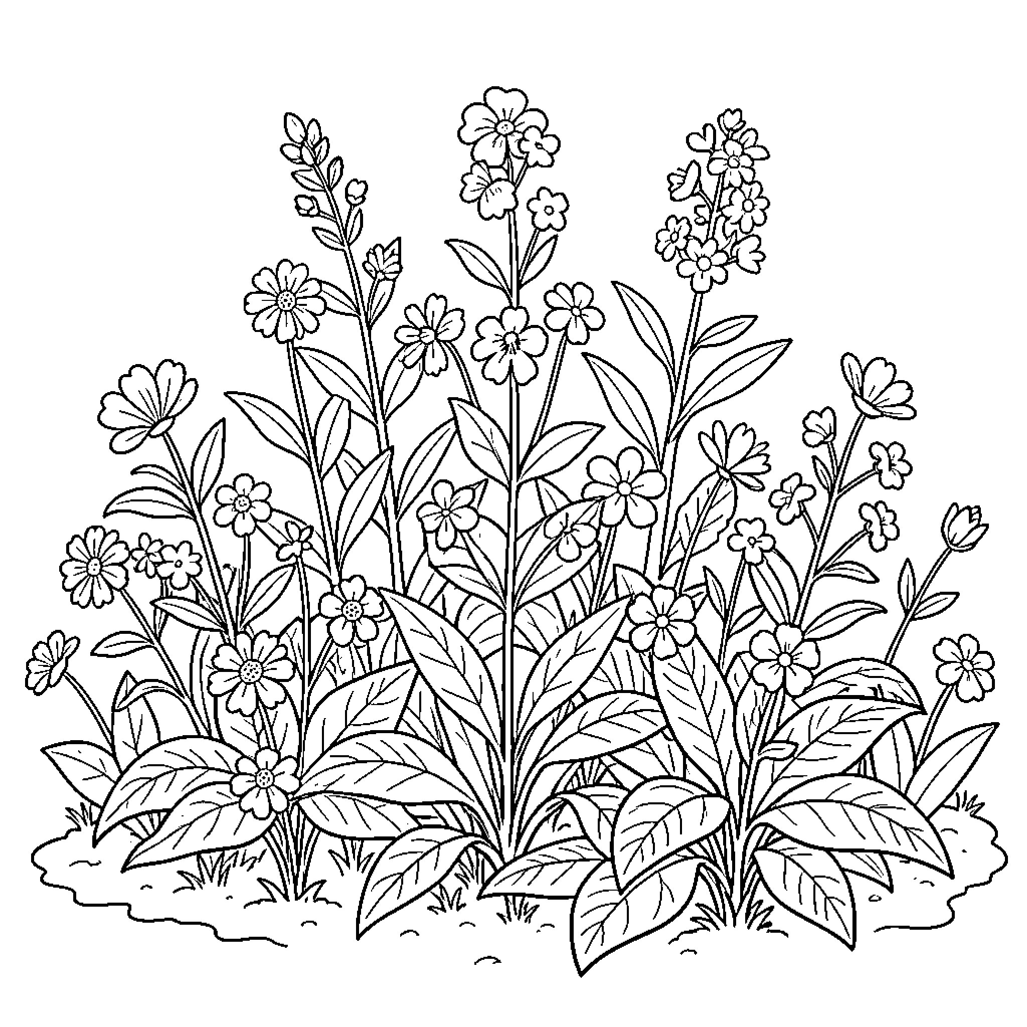 Plant growing in a lush garden setting Coloring Page (free black-and-white line drawing printable PDF for all, from beginners to advanced learners, including children, teens, adults, and seniors)