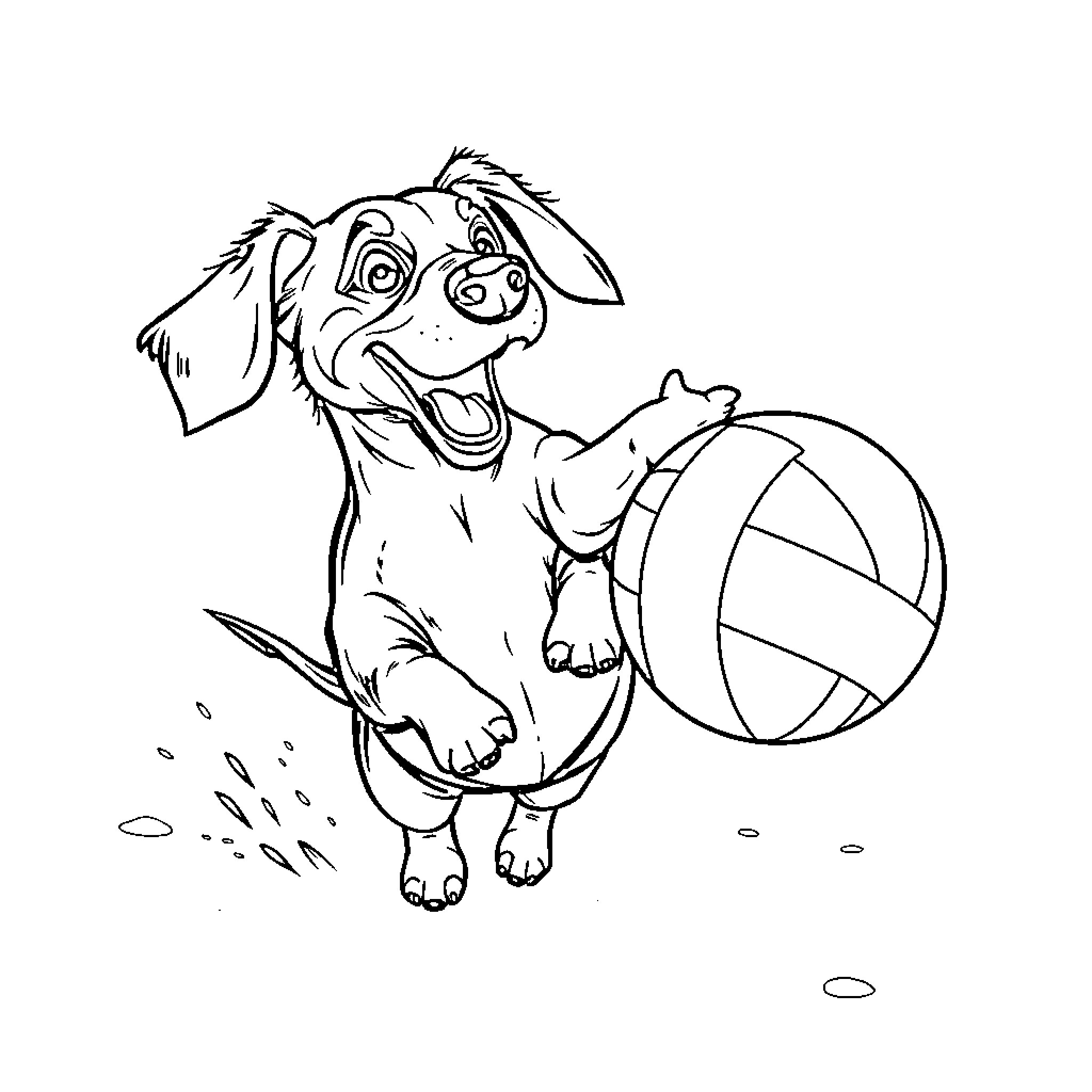 Dutchhound playing with ball on grass Coloring Page (free black-and-white line drawing printable PDF for all, from beginners to advanced learners, including children, teens, adults, and seniors)