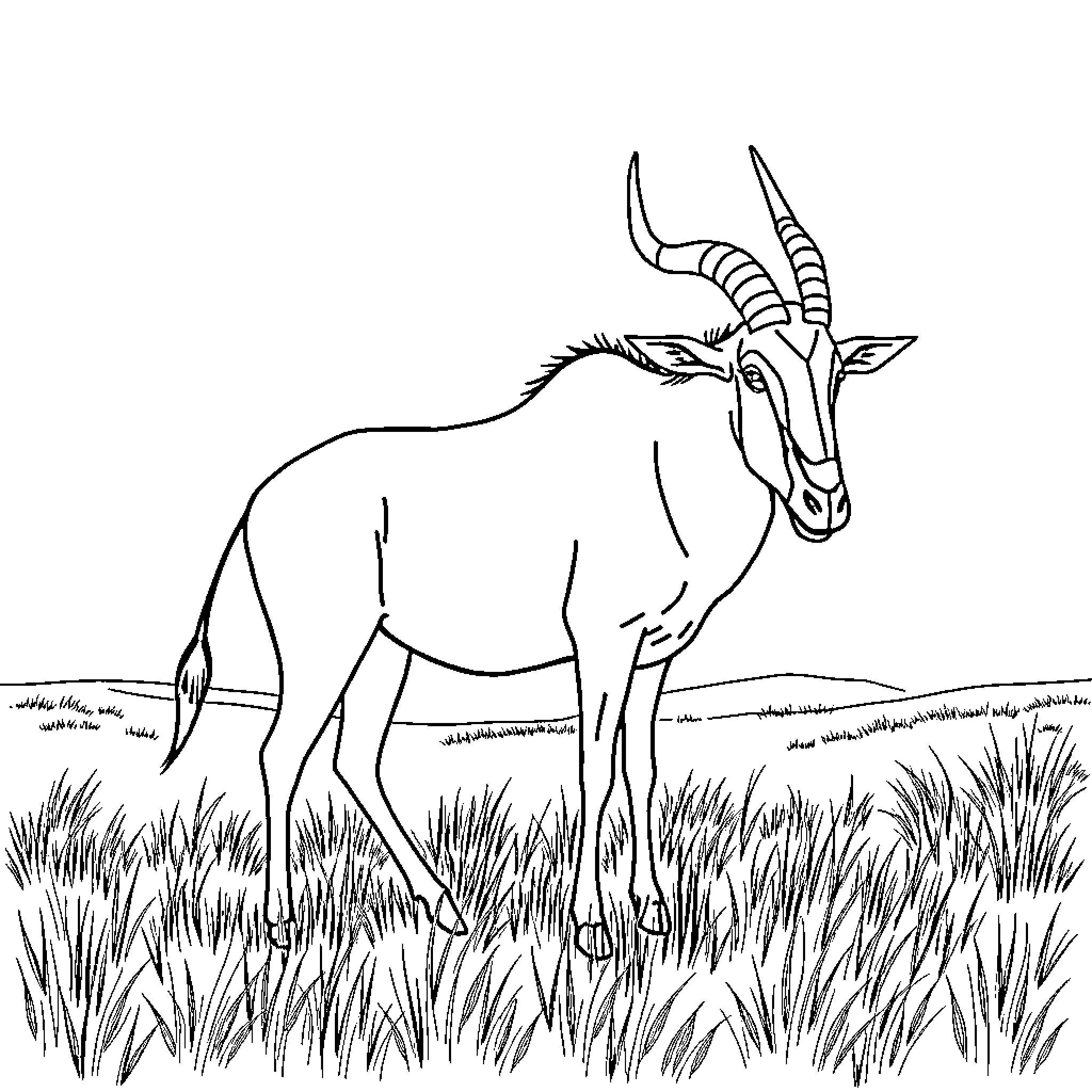 Wildebeest standing in tall grass Coloring Page (free black-and-white line drawing printable PDF for all, from beginners to advanced learners, including children, teens, adults, and seniors)