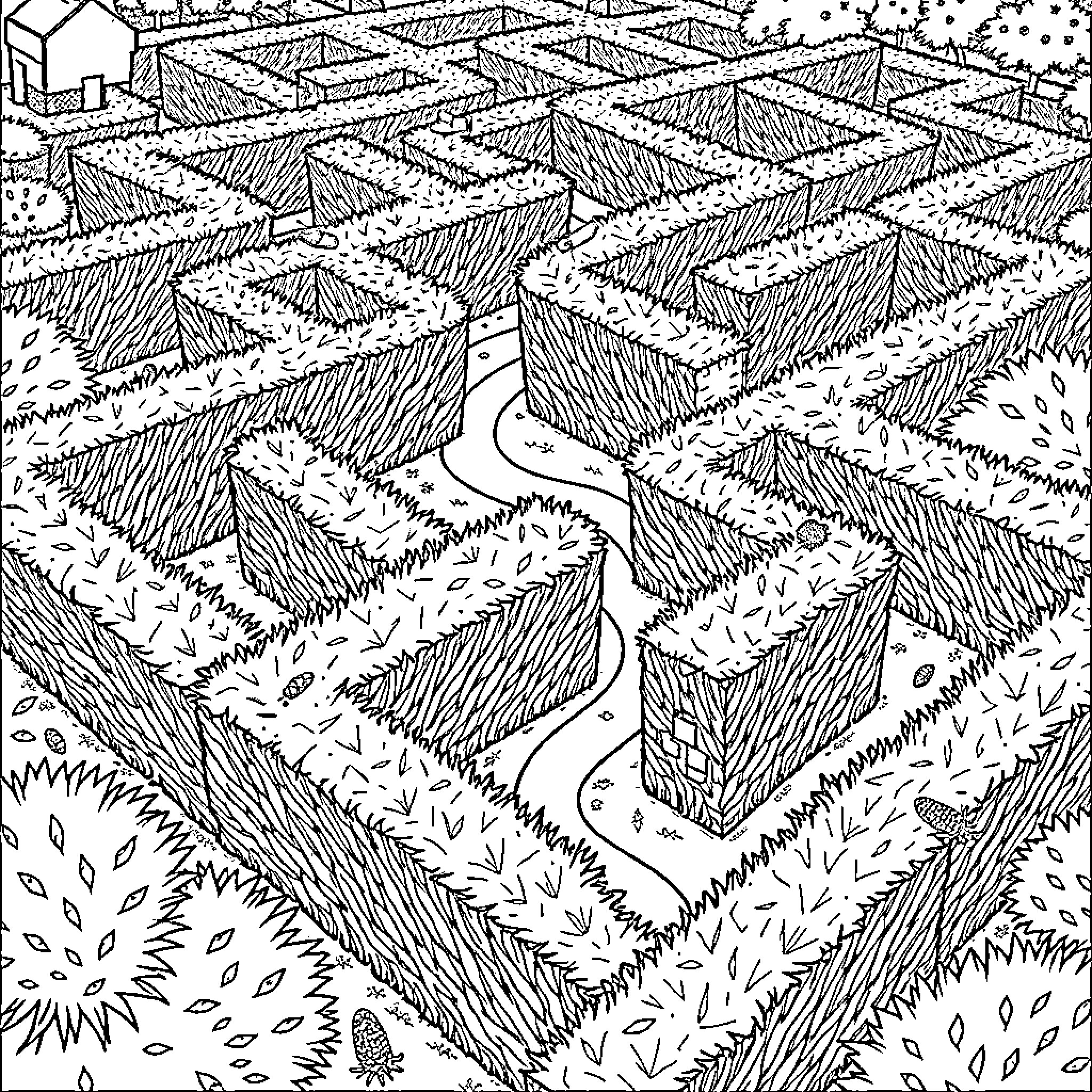 Maze of tangled pathways through the wilderness Coloring Page (free black-and-white line drawing printable PDF for all, from beginners to advanced learners, including children, teens, adults, and seniors)