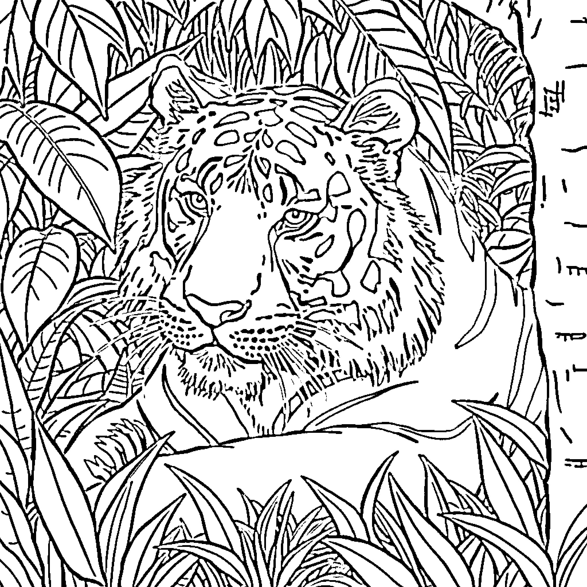 Tiger surrounded by lush jungle foliage Coloring Page (free black-and-white line drawing printable PDF for all, from beginners to advanced learners, including children, teens, adults, and seniors)