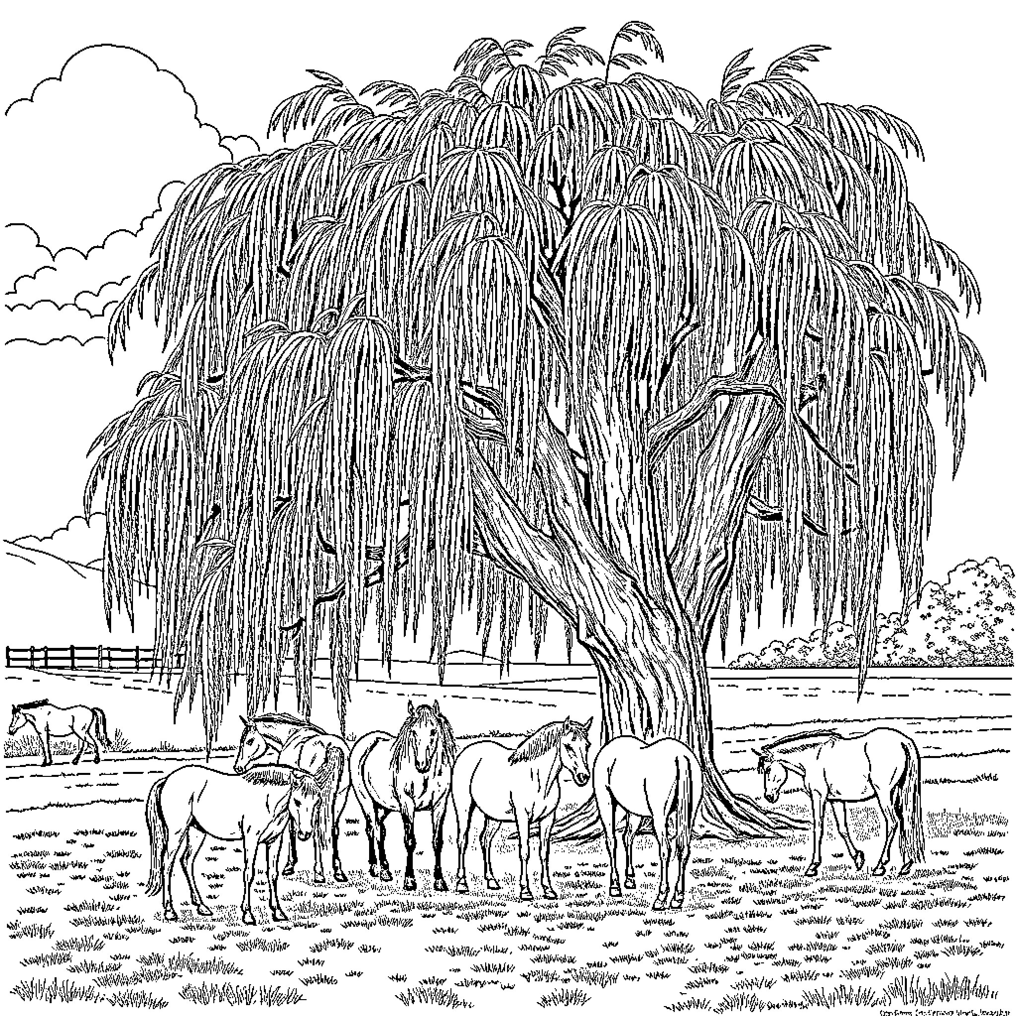 Horse herd grazing under weeping willow tree Coloring Page (free black-and-white line drawing printable PDF for all, from beginners to advanced learners, including children, teens, adults, and seniors)
