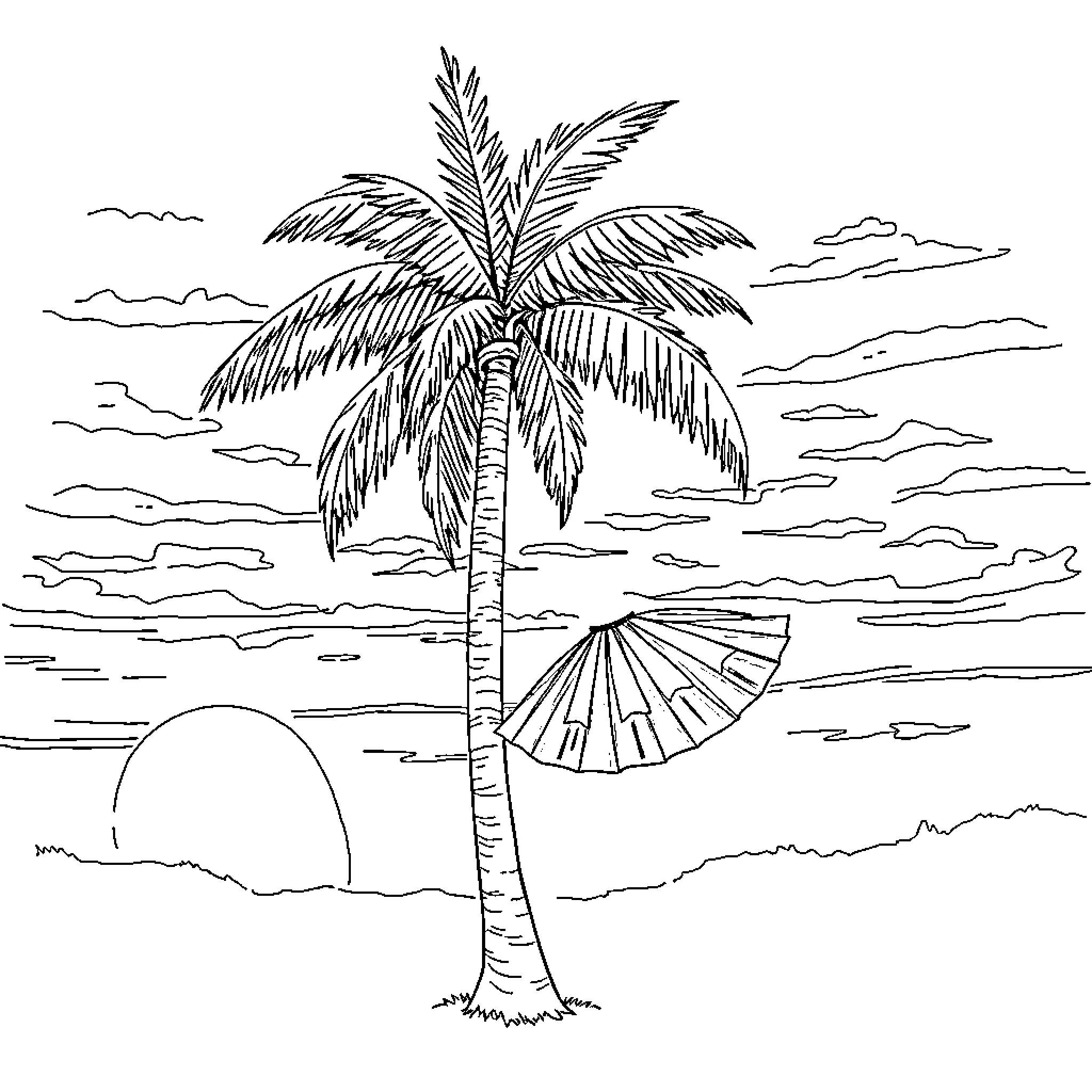 Palm Tree Landscape with Sunset Silhouette Coloring Page (free black-and-white line drawing printable PDF for all, from beginners to advanced learners, including children, teens, adults, and seniors)