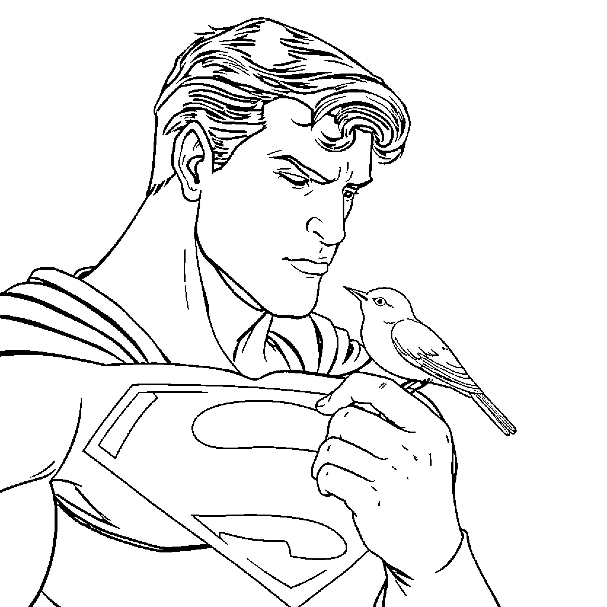 Superman caring for a small bird Coloring Page (free black-and-white line drawing printable PDF for all, from beginners to advanced learners, including children, teens, adults, and seniors)