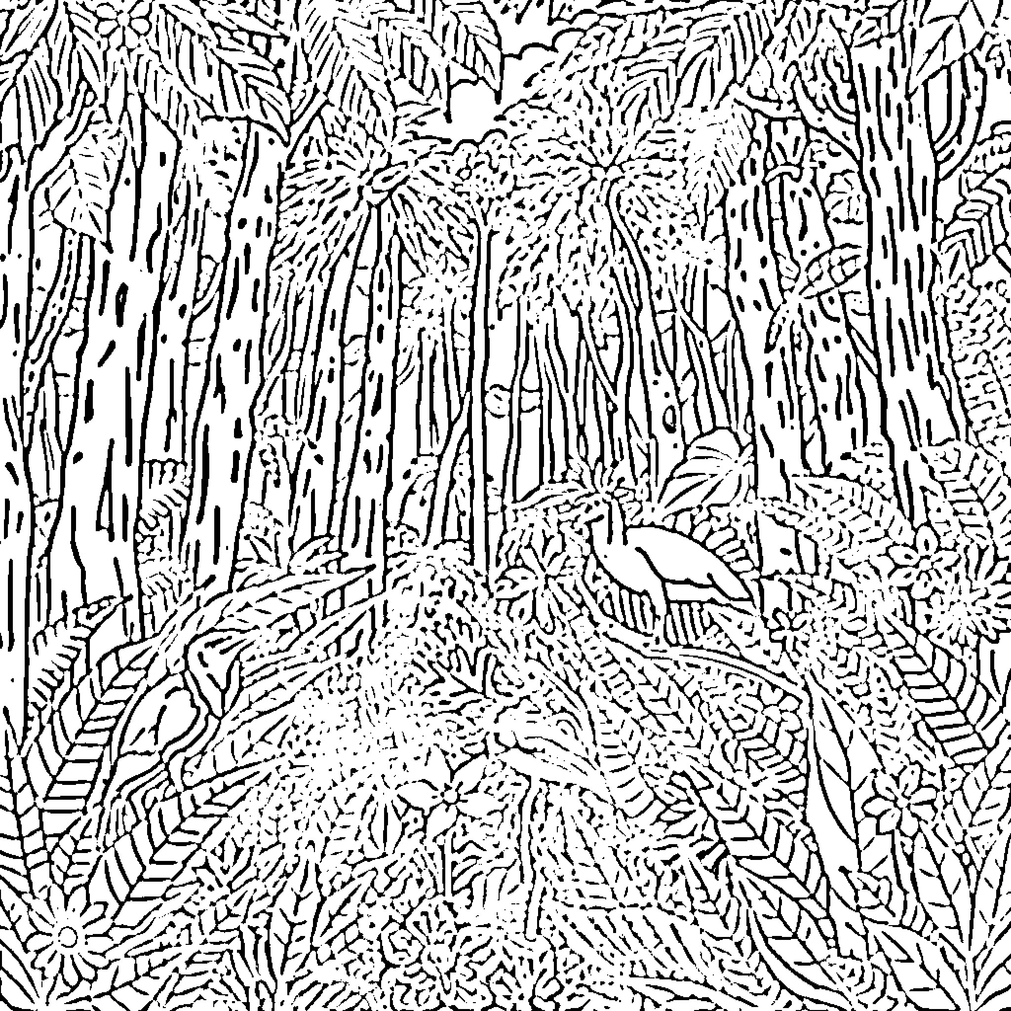 Rainforest wildlife scene with intricate foliage Coloring Page (free black-and-white line drawing printable PDF for all, from beginners to advanced learners, including children, teens, adults, and seniors)