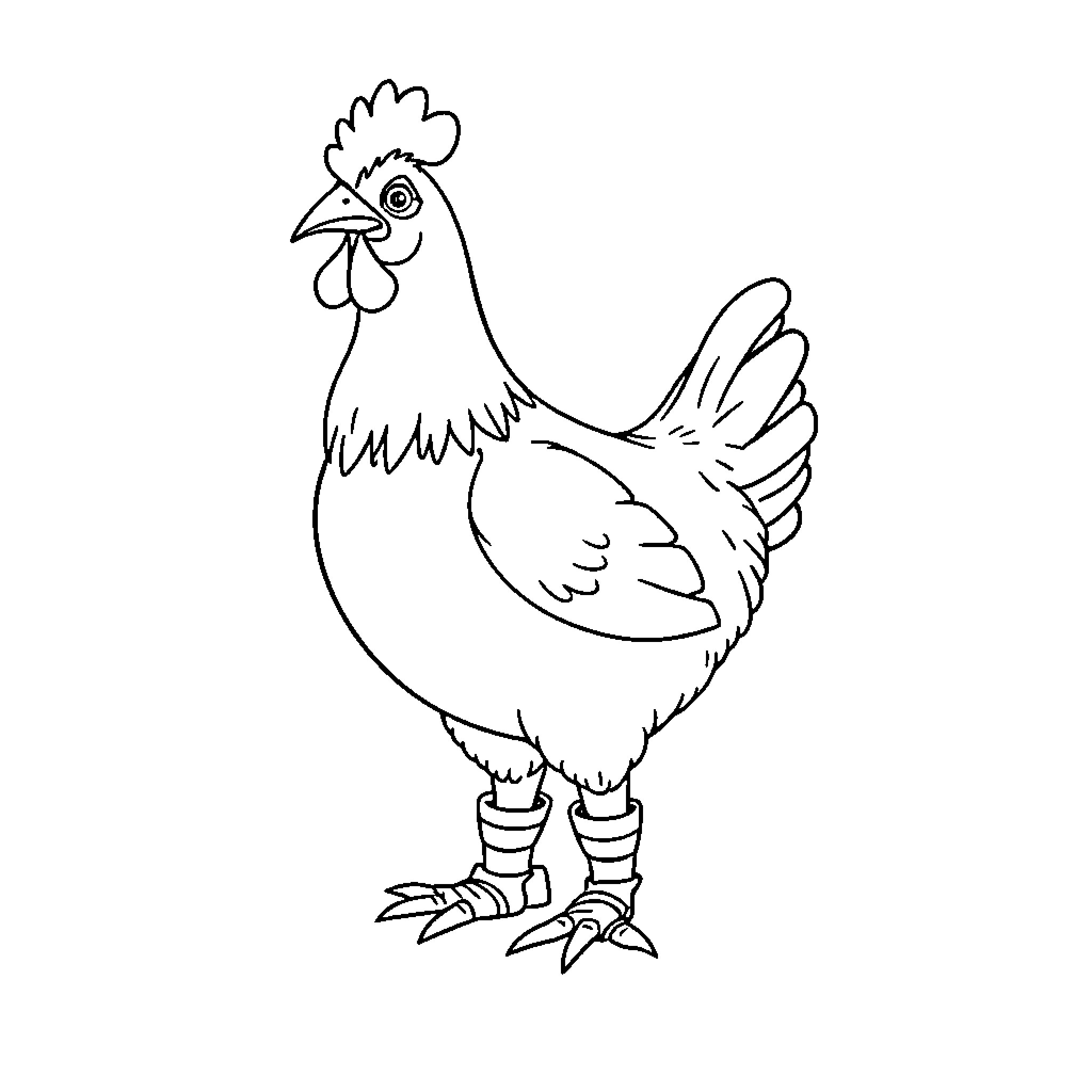 Chicken standing proudly on display Coloring Page (free black-and-white line drawing printable PDF for all, from beginners to advanced learners, including children, teens, adults, and seniors)