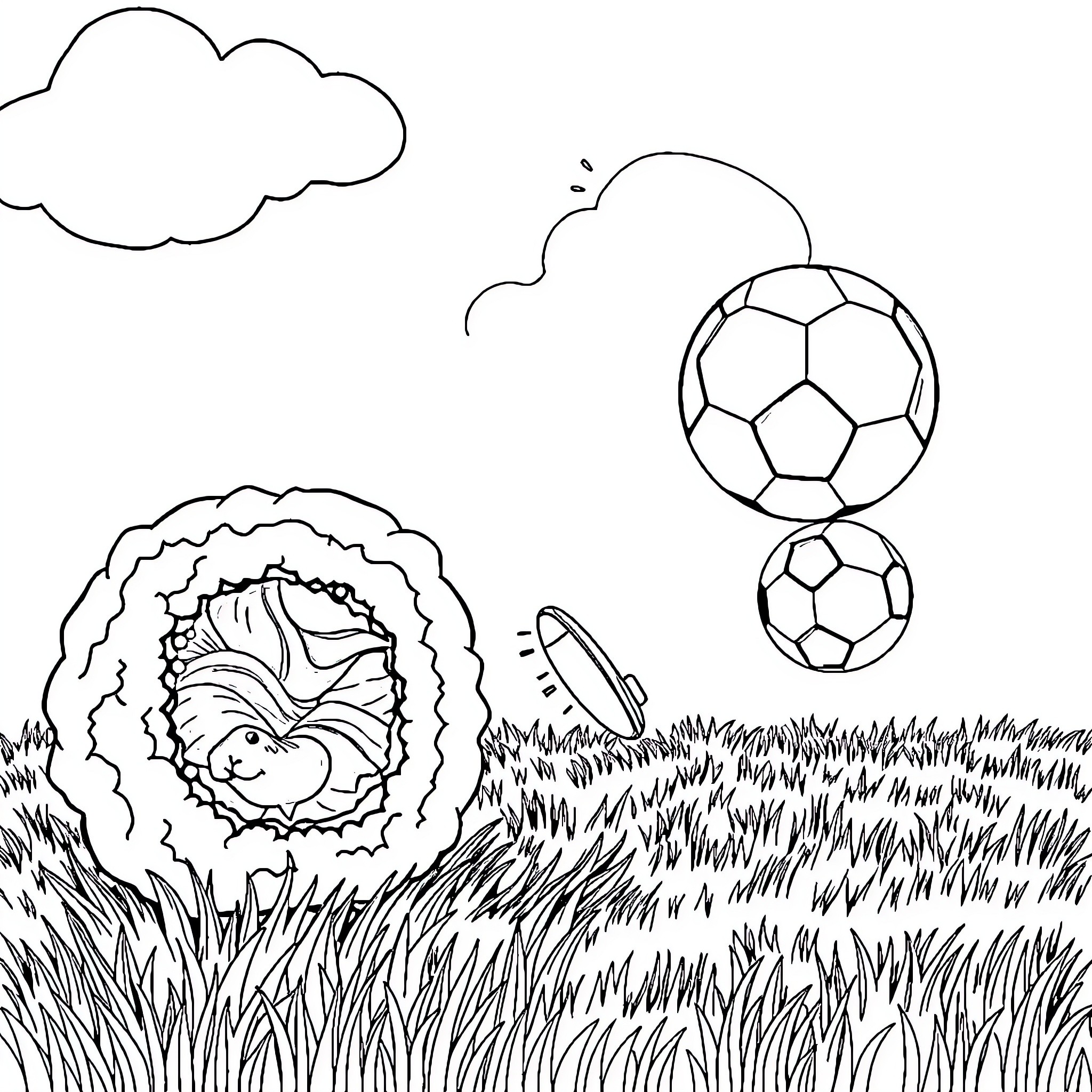 Sushi playing football in the park Coloring Page (free black-and-white line drawing printable PDF for all, from beginners to advanced learners, including children, teens, adults, and seniors)