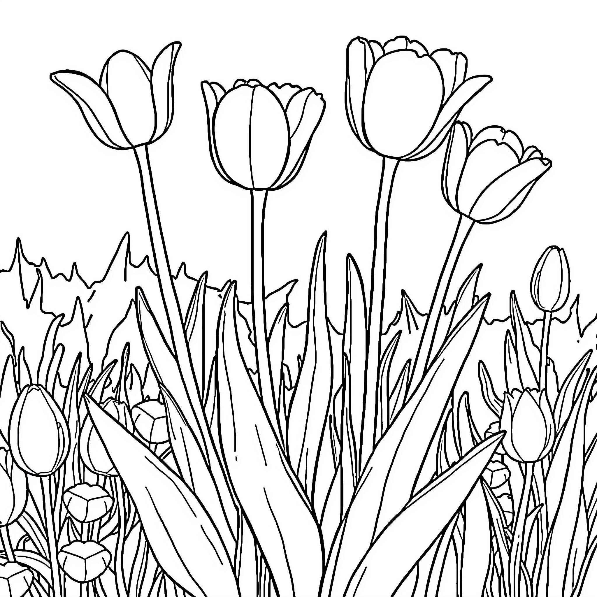 Tulip flowers in a garden Coloring Page (free black-and-white line drawing printable PDF for all, from beginners to advanced learners, including children, teens, adults, and seniors)