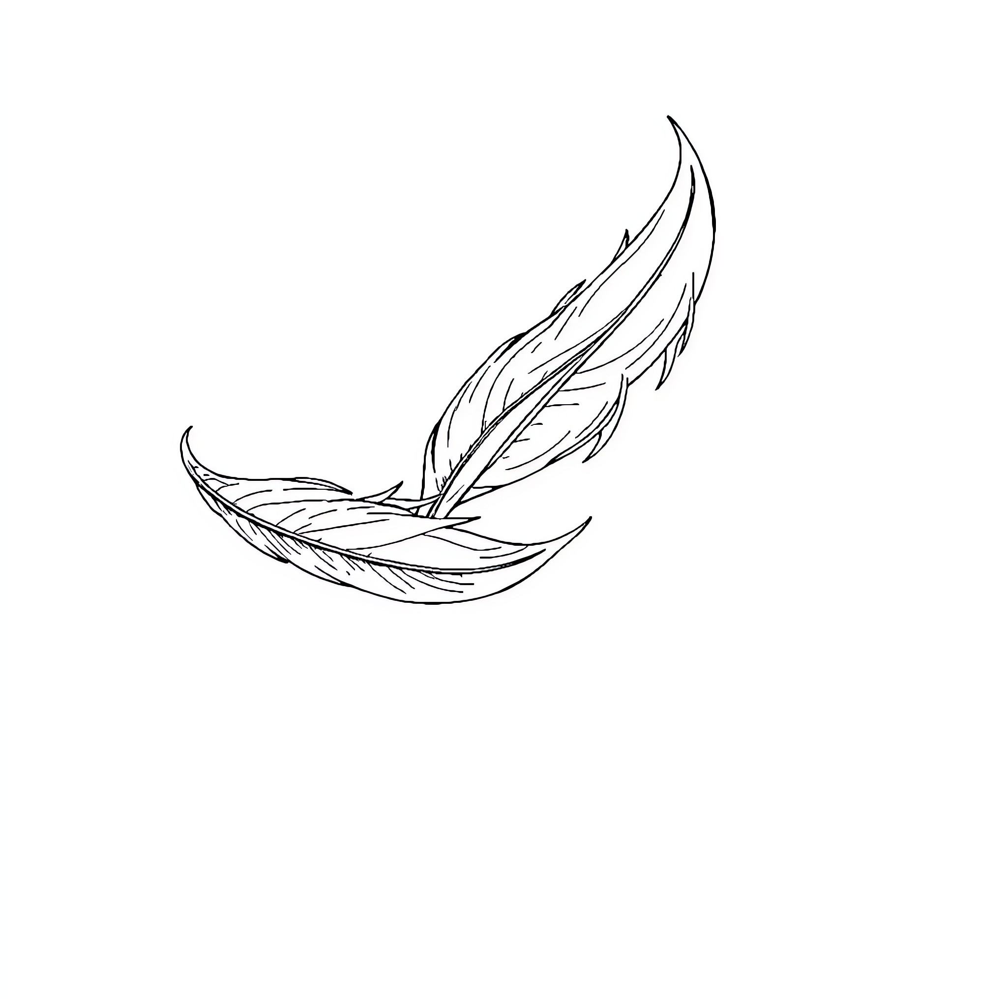 Feather floating gracefully in the wind Coloring Page (free black-and-white line drawing printable PDF for all, from beginners to advanced learners, including children, teens, adults, and seniors)