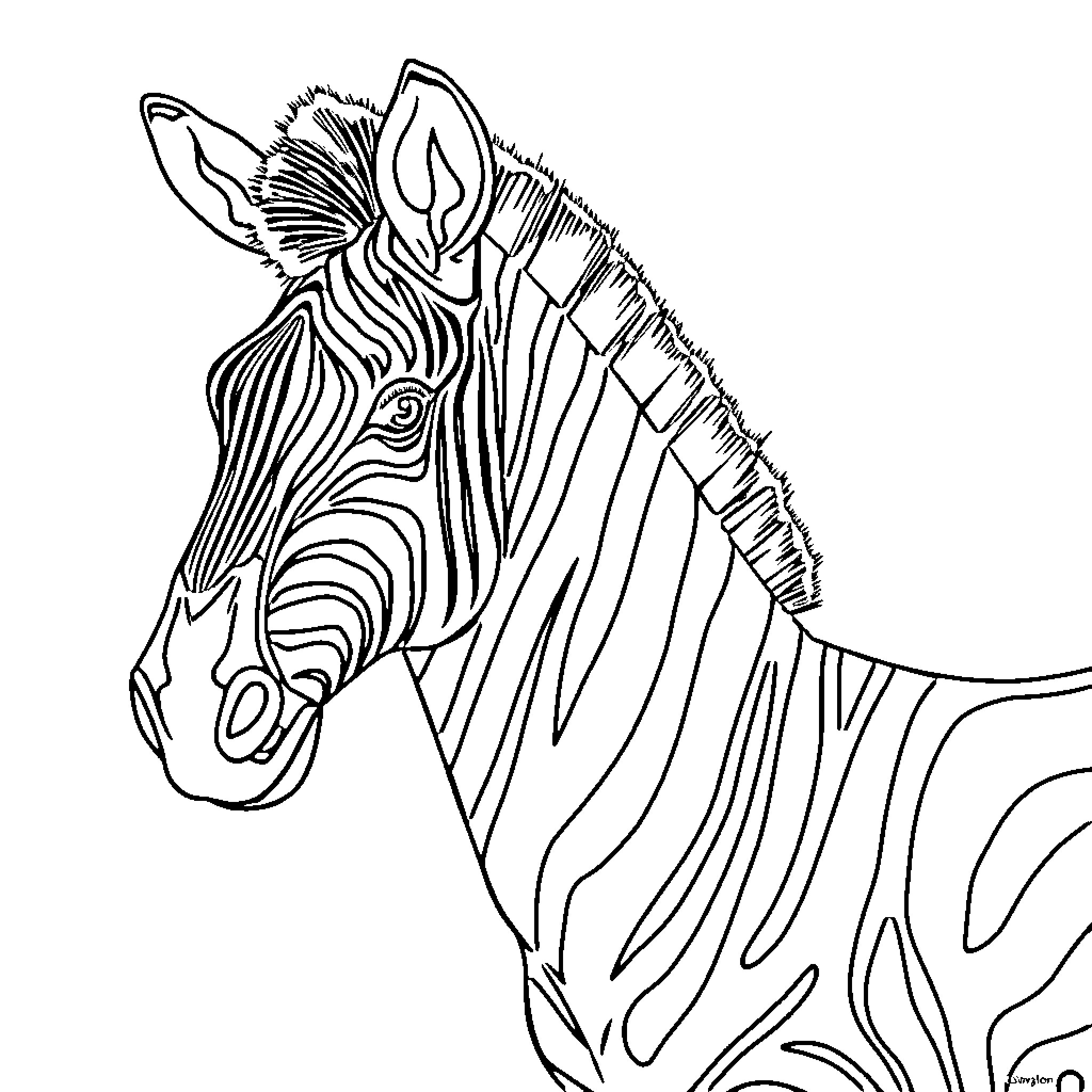 Zebra in a minimalist monochrome illustration Coloring Page (free black-and-white line drawing printable PDF for all, from beginners to advanced learners, including children, teens, adults, and seniors)
