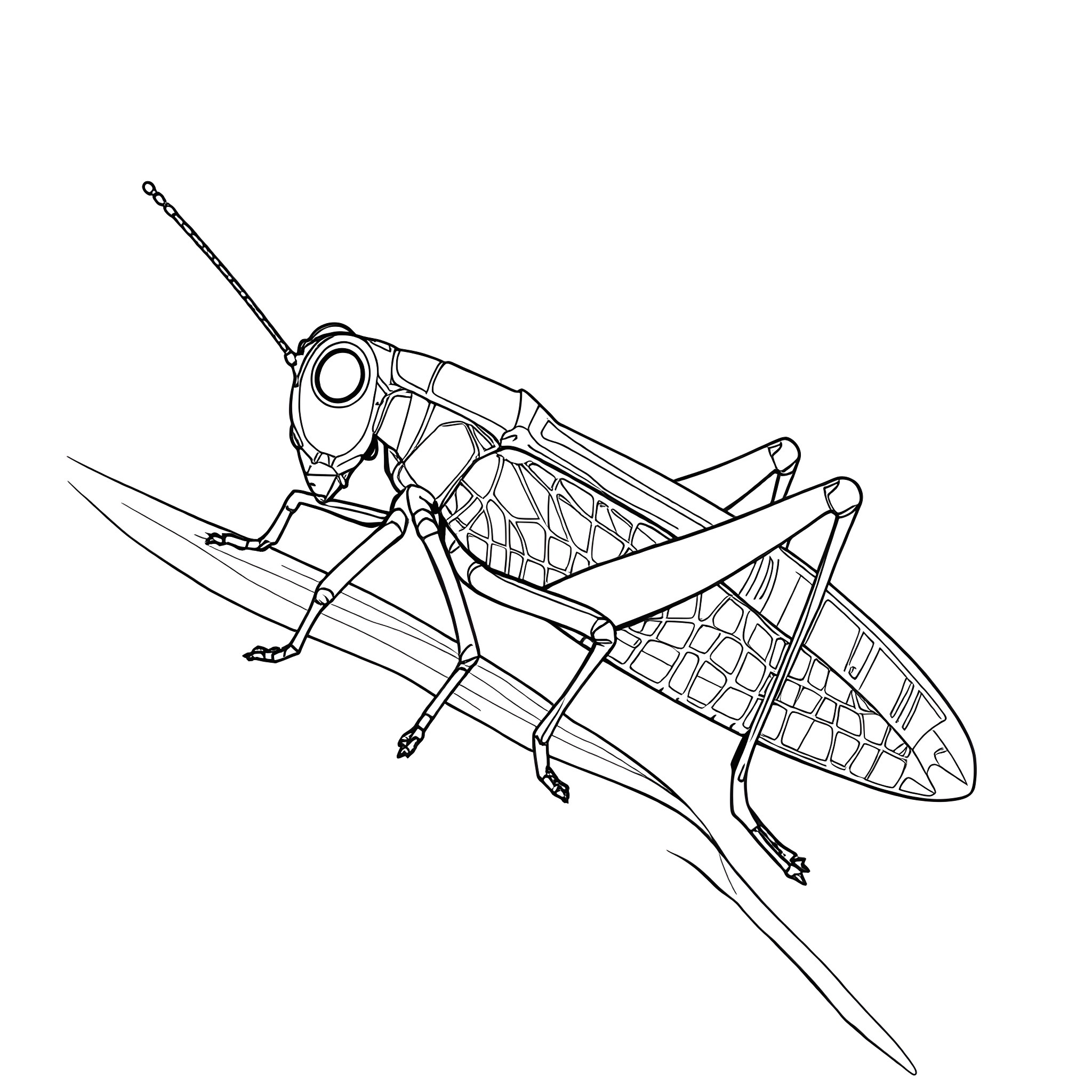 Grasshopper jumping in the air Coloring Page (free black-and-white line drawing printable PDF for all, from beginners to advanced learners, including children, teens, adults, and seniors)