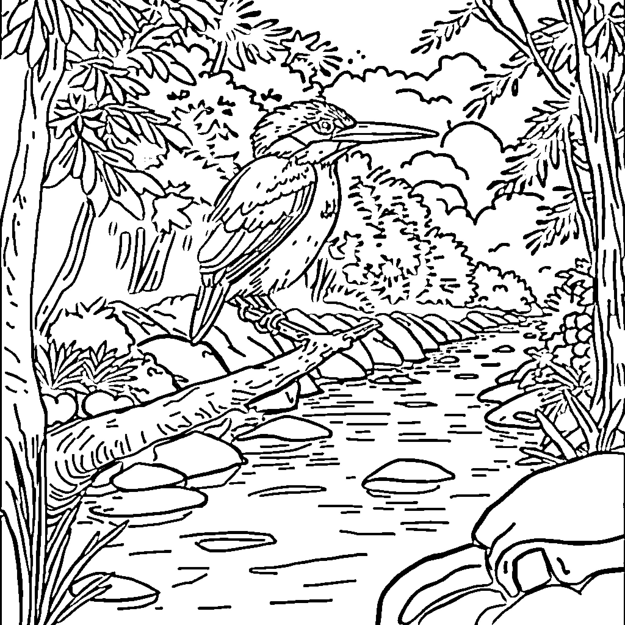 Kingfisher hunting near riverbank in nature Coloring Page (free black-and-white line drawing printable PDF for all, from beginners to advanced learners, including children, teens, adults, and seniors)