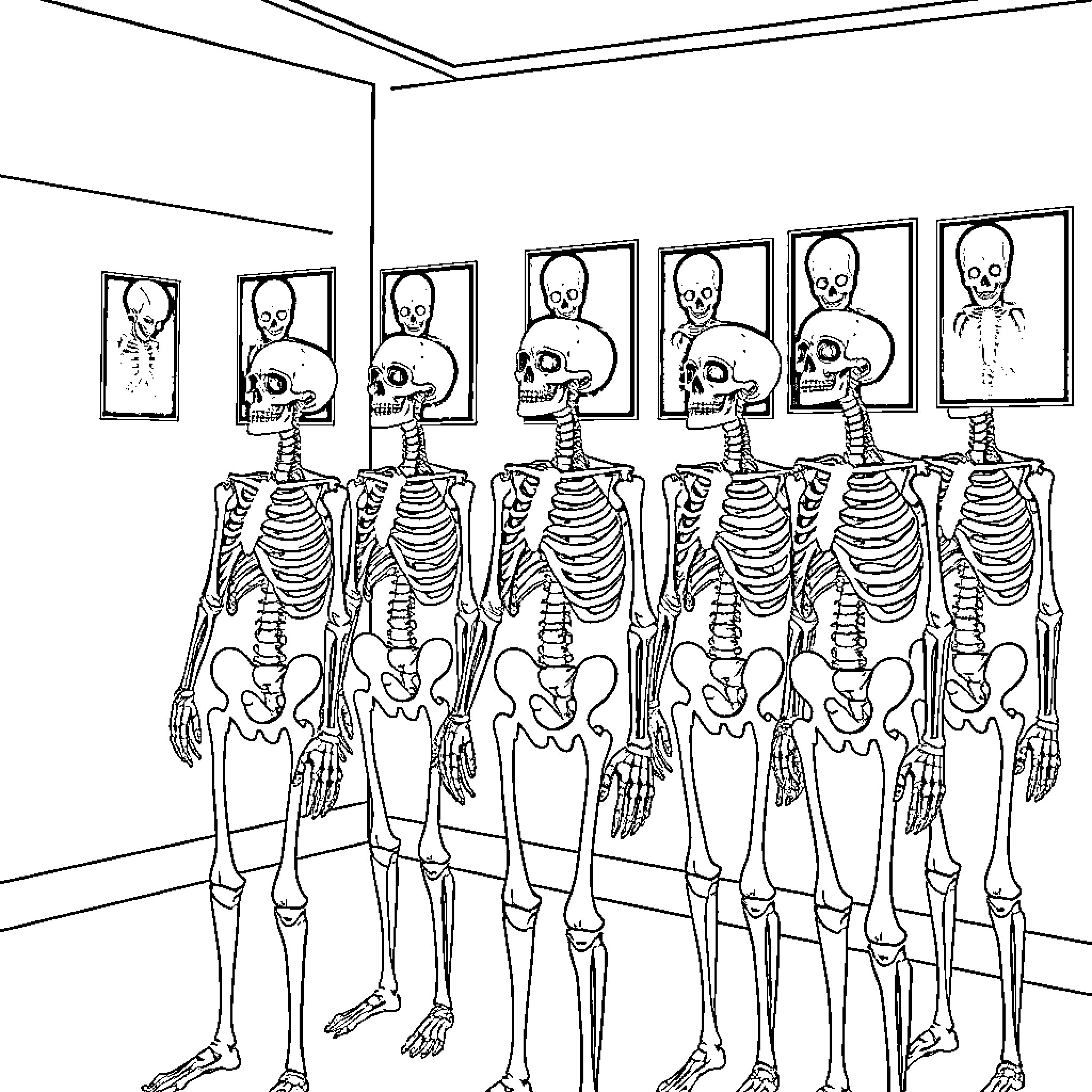 Skeleton Figures Displayed in an Anatomical Museum Coloring Page (free black-and-white line drawing printable PDF for all, from beginners to advanced learners, including children, teens, adults, and seniors)