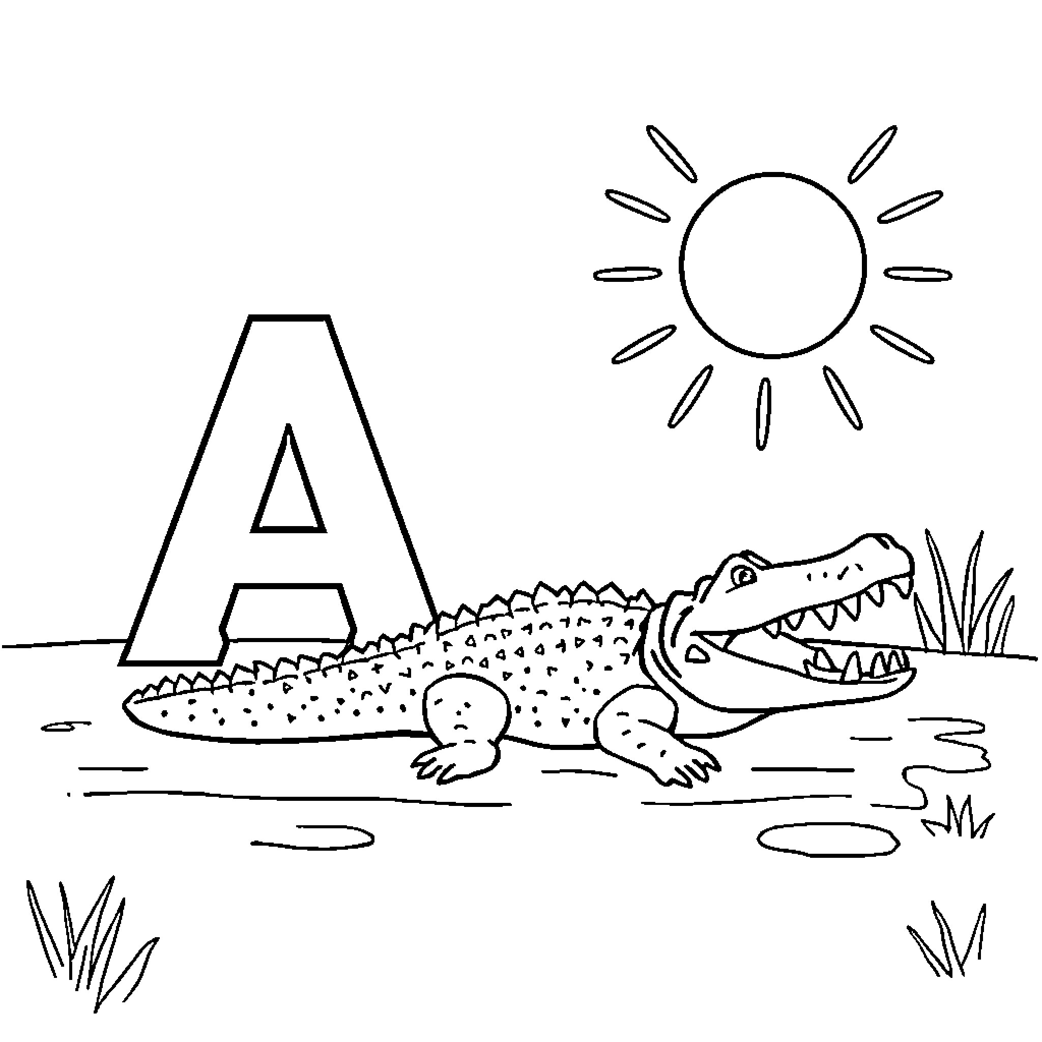 Letter A: Alligator in the Sunlit Swamp Coloring Page (free black-and-white line drawing printable PDF for all, from beginners to advanced learners, including children, teens, adults, and seniors)