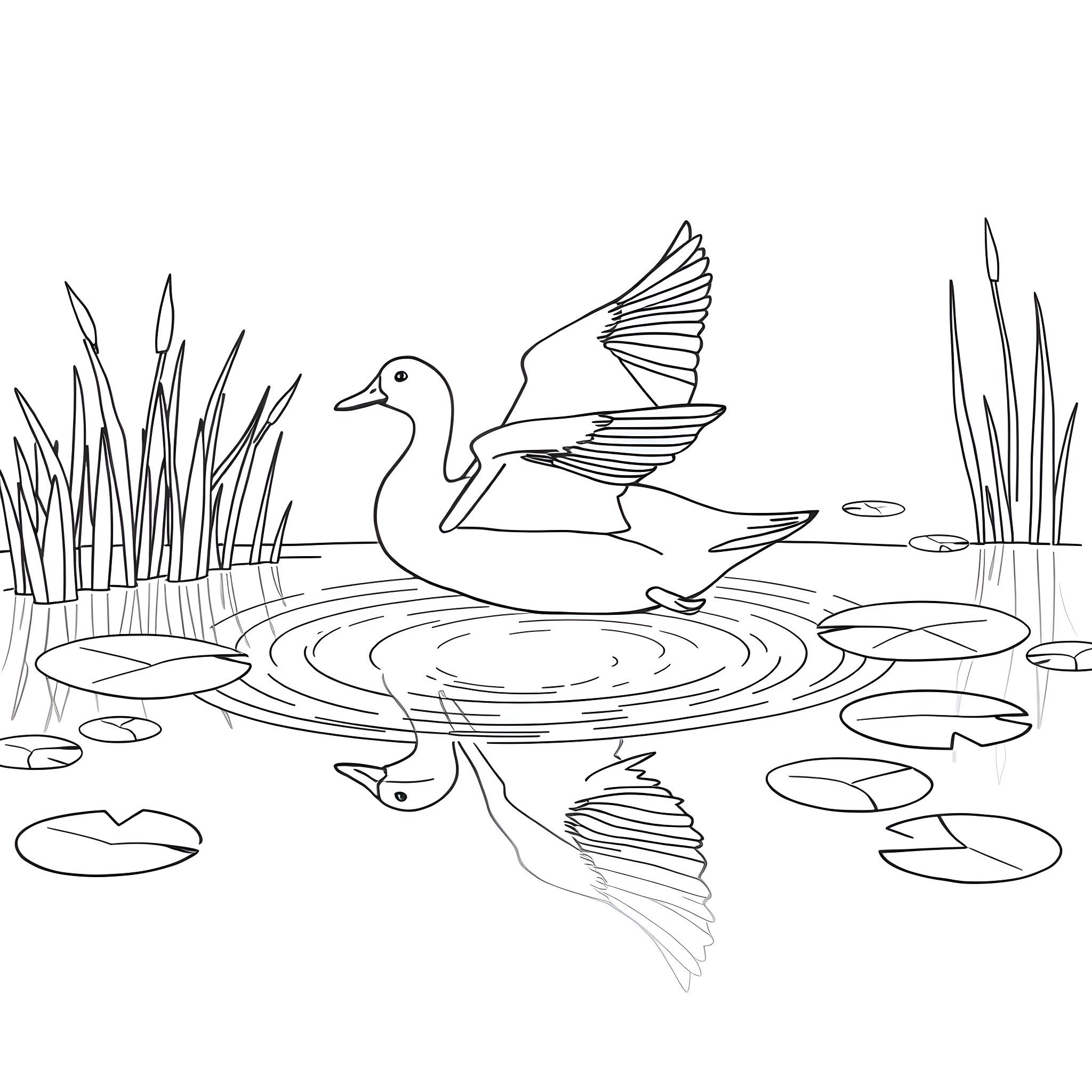 Duck swimming gracefully on the pond Coloring Page (free black-and-white line drawing printable PDF for all, from beginners to advanced learners, including children, teens, adults, and seniors)