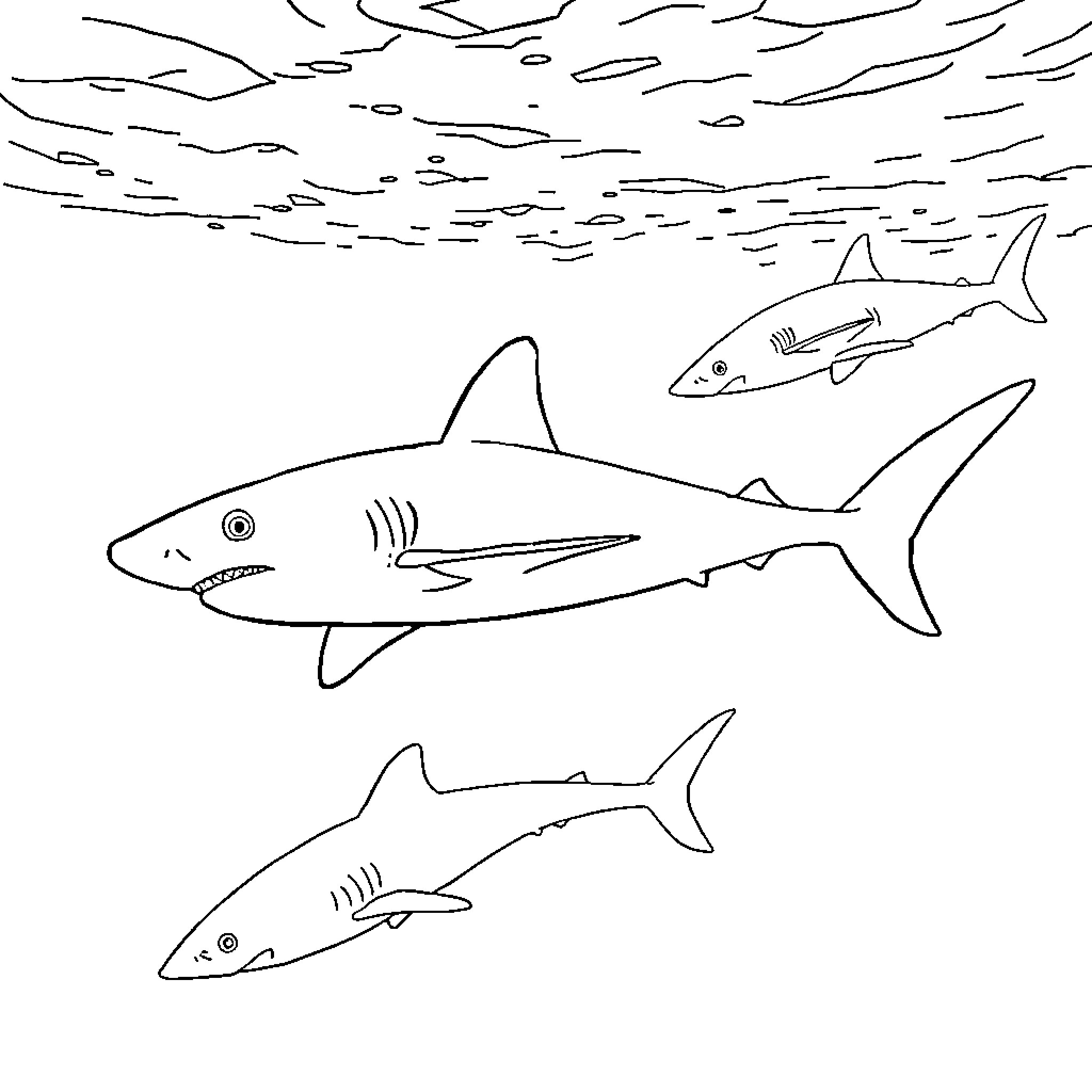 Shark family swimming in the ocean Coloring Page (free black-and-white line drawing printable PDF for all, from beginners to advanced learners, including children, teens, adults, and seniors)