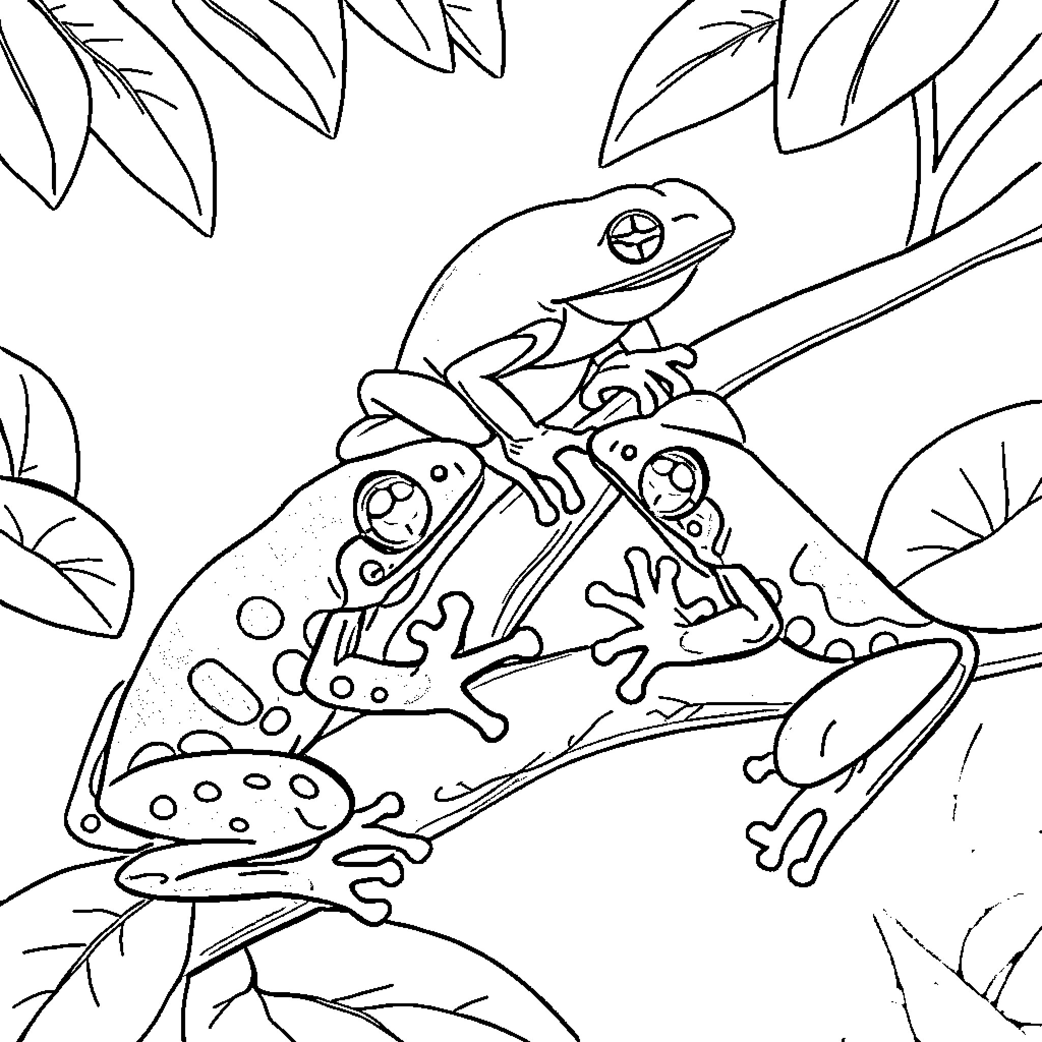 Frog relaxing amidst leaves and foliage Coloring Page (free black-and-white line drawing printable PDF for all, from beginners to advanced learners, including children, teens, adults, and seniors)