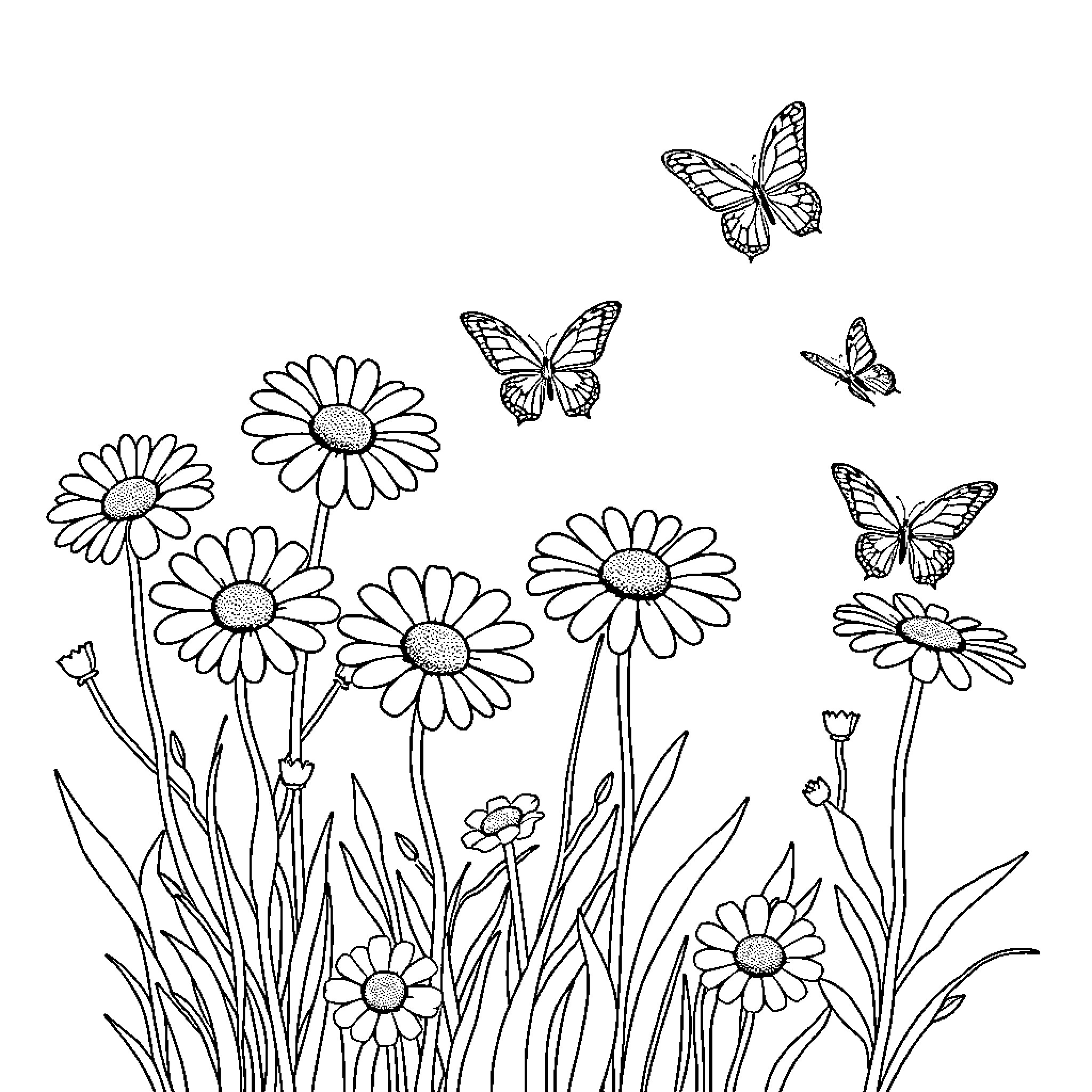 Daisy field with playful butterflies Coloring Page (free black-and-white line drawing printable PDF for all, from beginners to advanced learners, including children, teens, adults, and seniors)