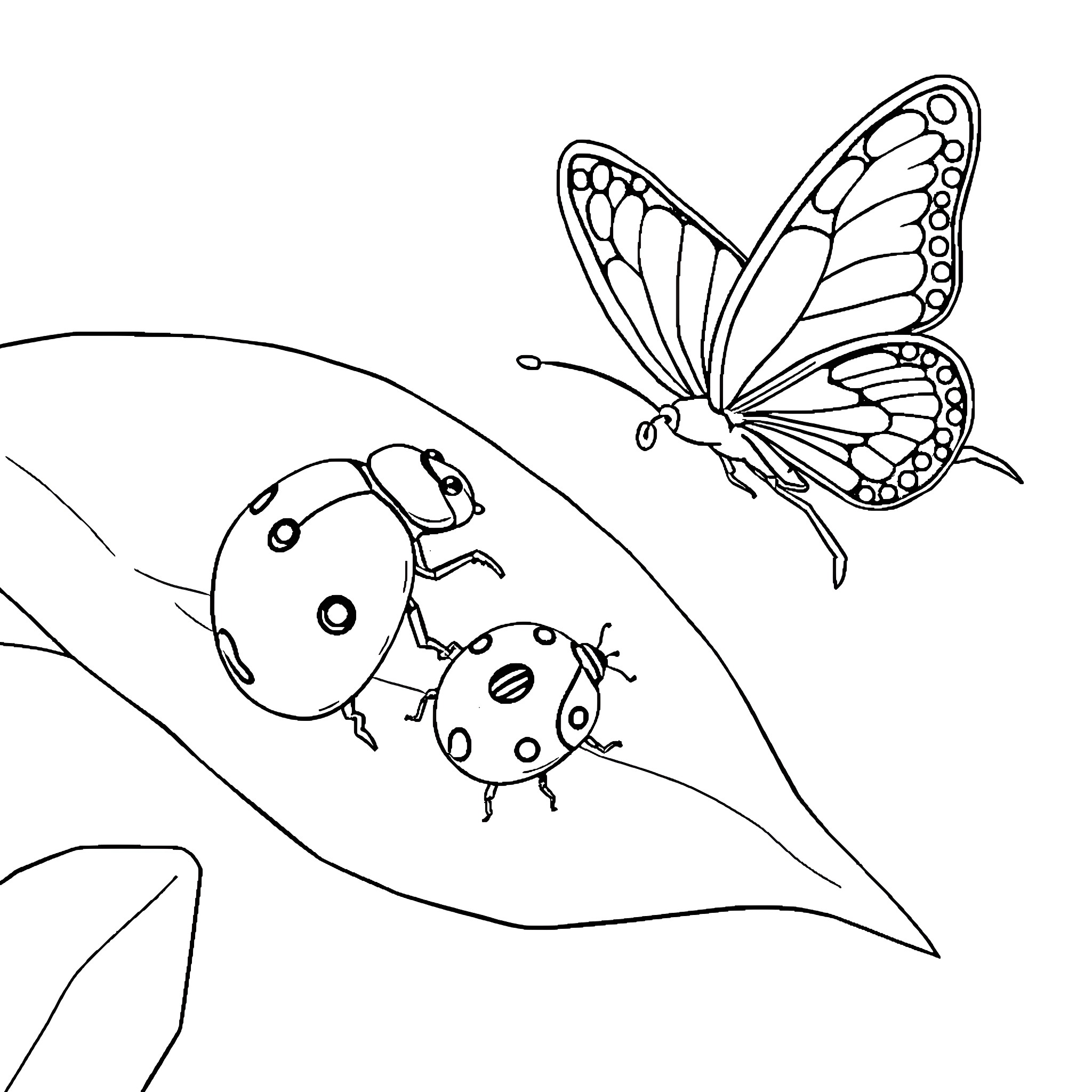 Ladybug and butterfly in nature Coloring Page (free black-and-white line drawing printable PDF for all, from beginners to advanced learners, including children, teens, adults, and seniors)