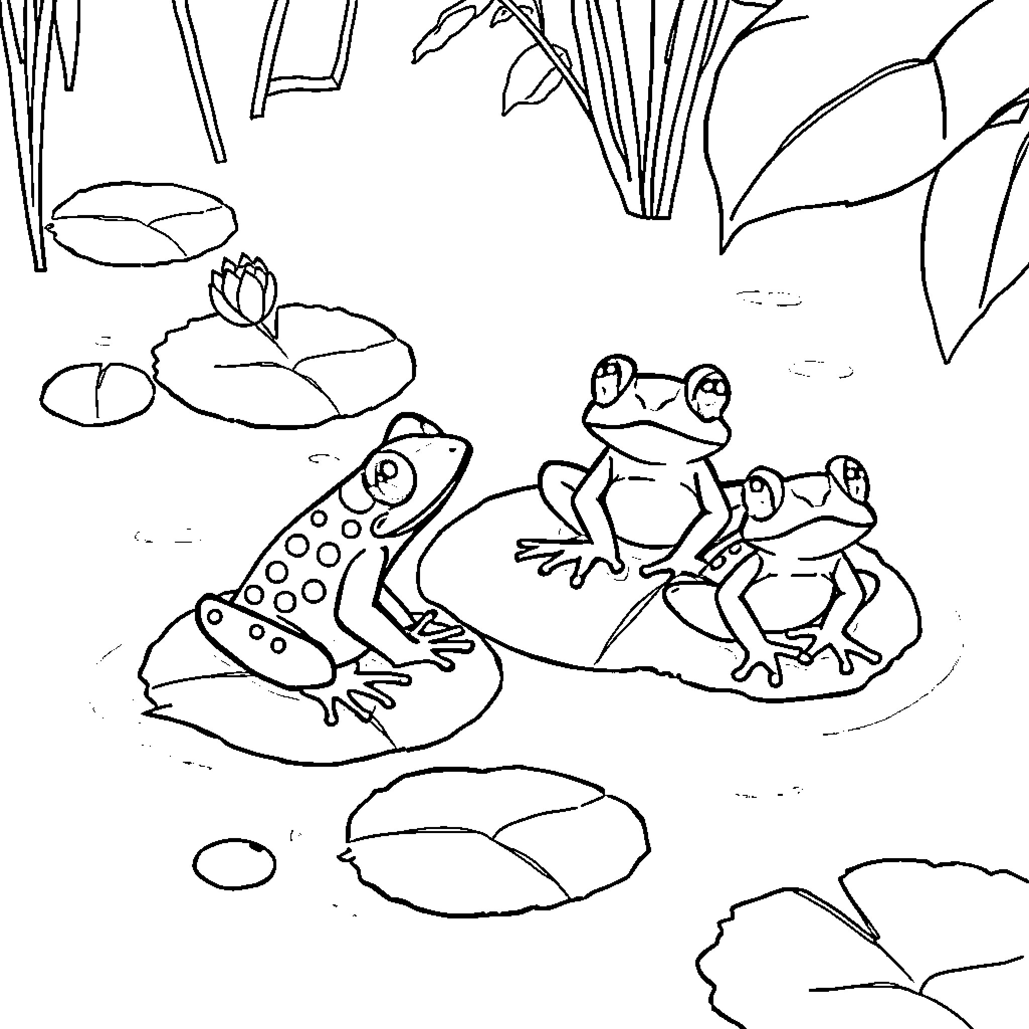 Frog Resting on Lily Pads in Nature Coloring Page (free black-and-white line drawing printable PDF for all, from beginners to advanced learners, including children, teens, adults, and seniors)