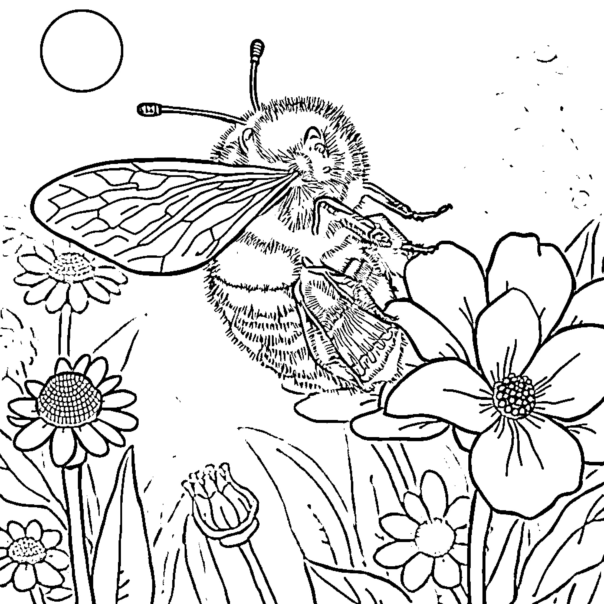 Bee exploring vibrant floral garden Coloring Page (free black-and-white line drawing printable PDF for all, from beginners to advanced learners, including children, teens, adults, and seniors)