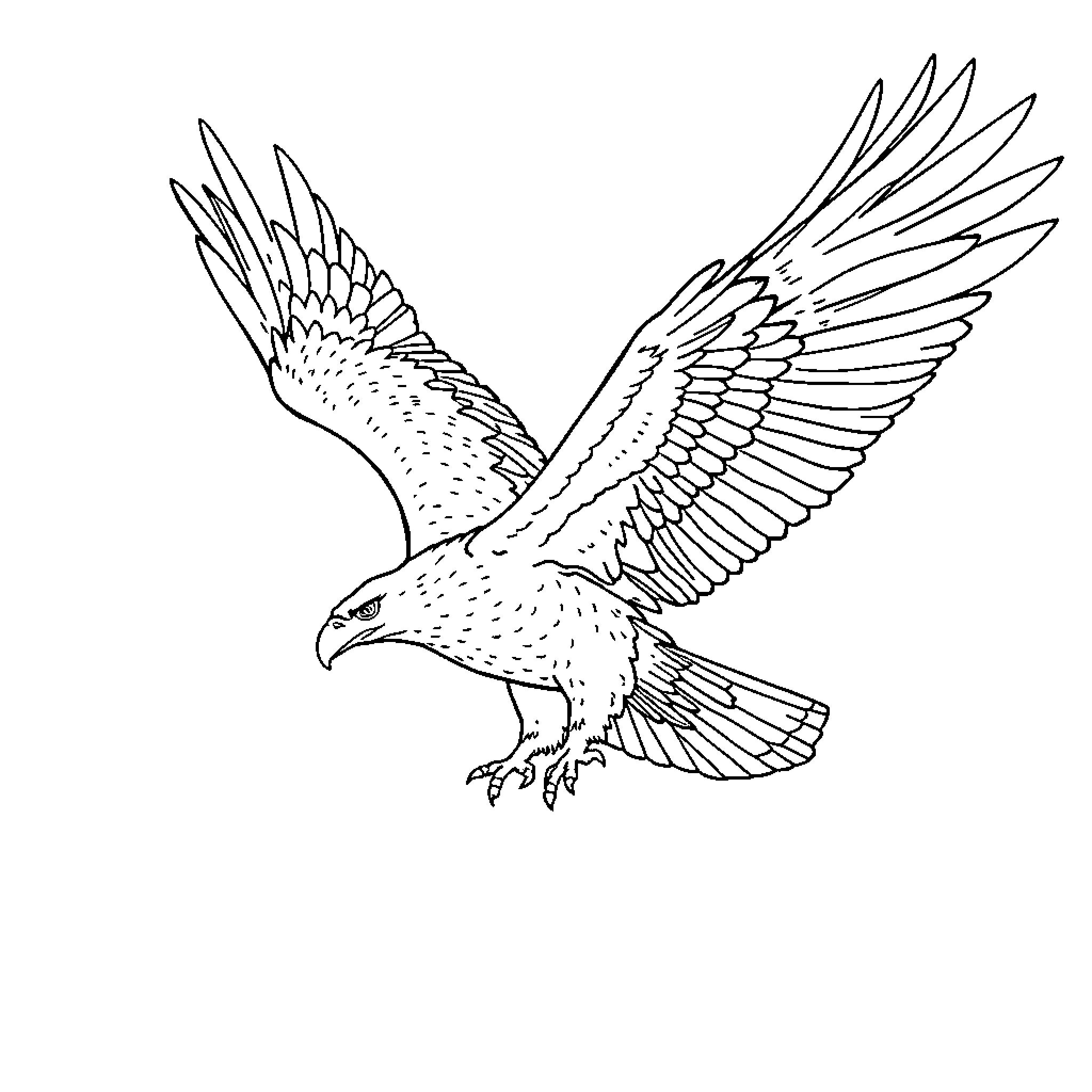 Eagle soaring with outstretched wings Coloring Page (free black-and-white line drawing printable PDF for all, from beginners to advanced learners, including children, teens, adults, and seniors)