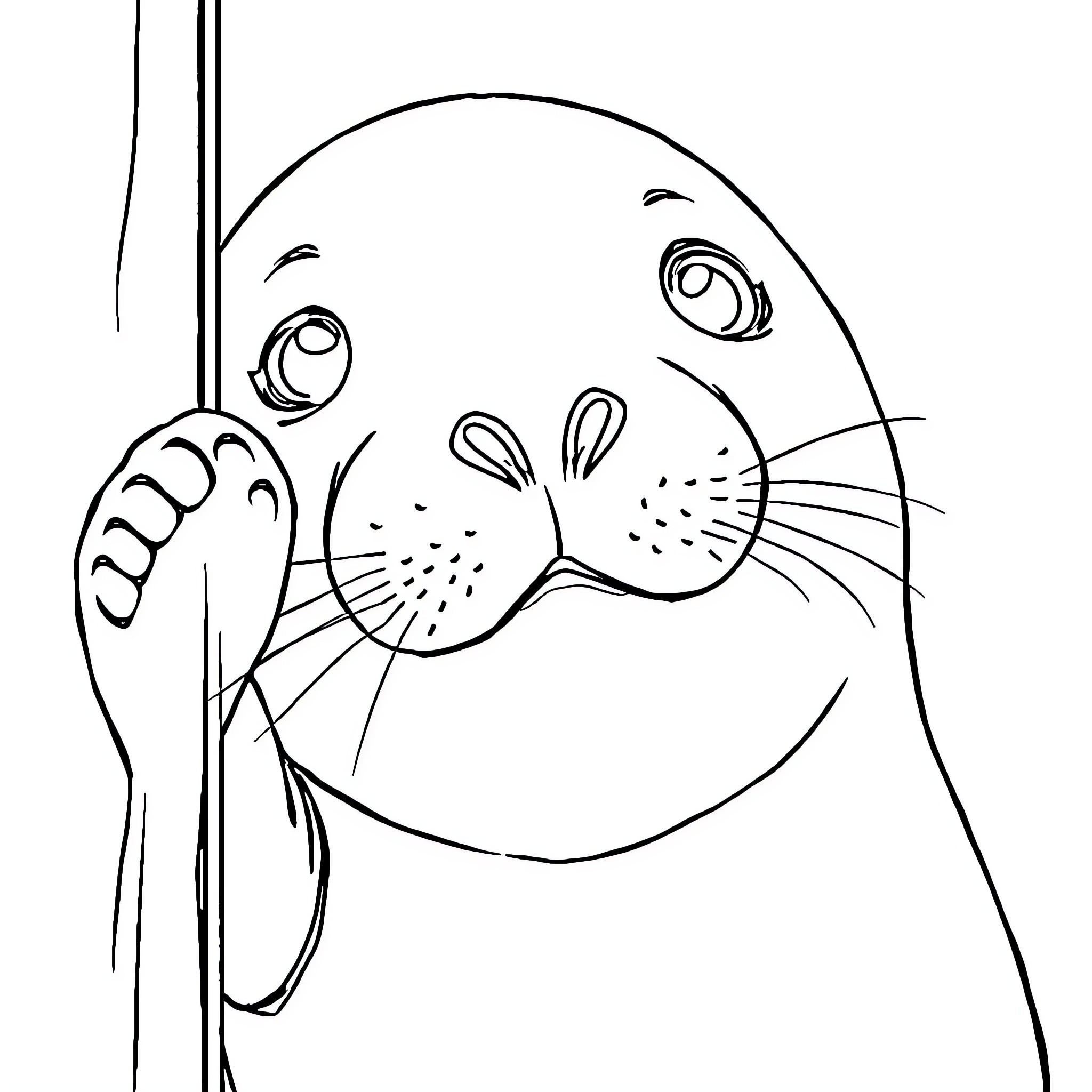 Seal peering curiously through the water Coloring Page (free black-and-white line drawing printable PDF for all, from beginners to advanced learners, including children, teens, adults, and seniors)