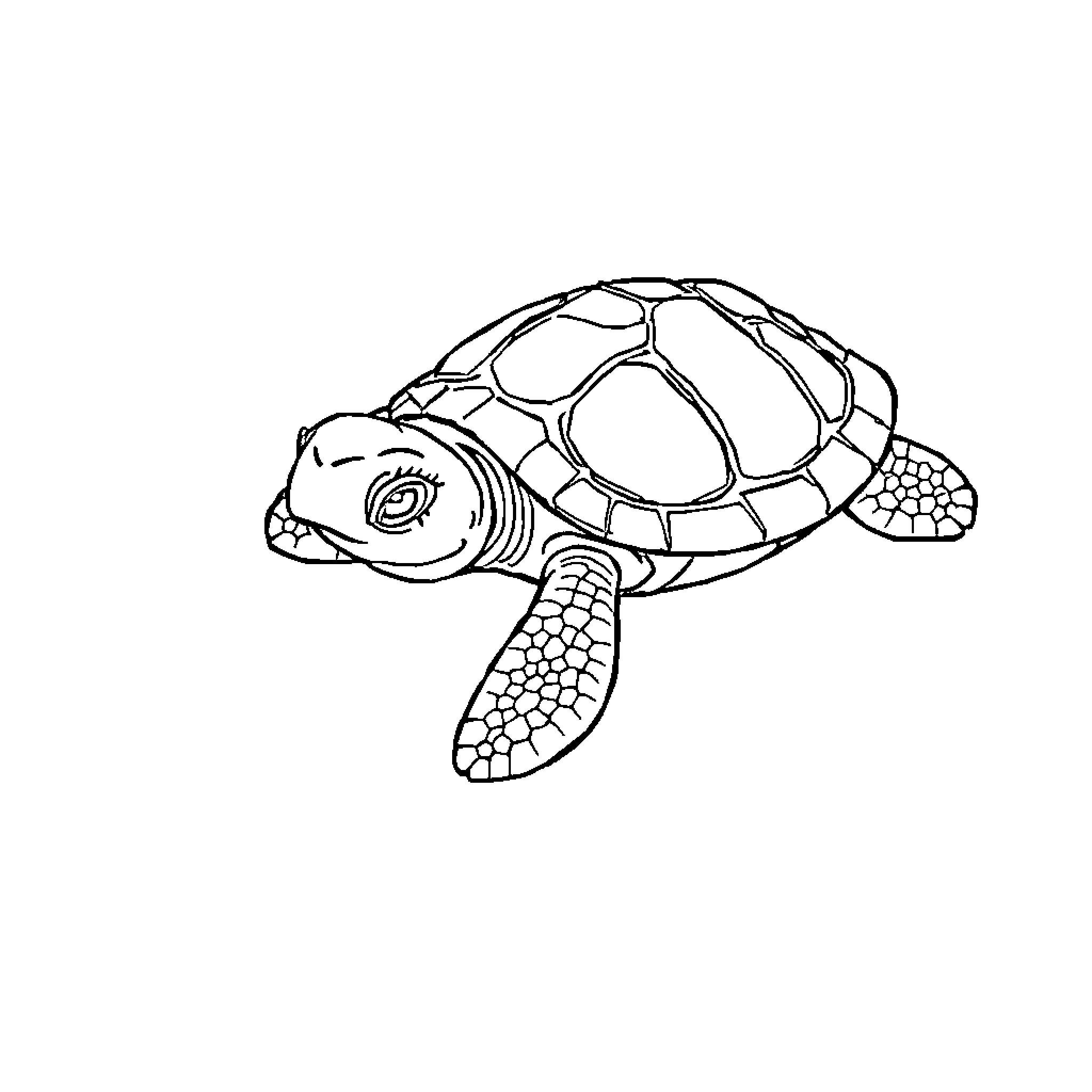 Turtle swimming in the ocean Coloring Page (free black-and-white line drawing printable PDF for all, from beginners to advanced learners, including children, teens, adults, and seniors)