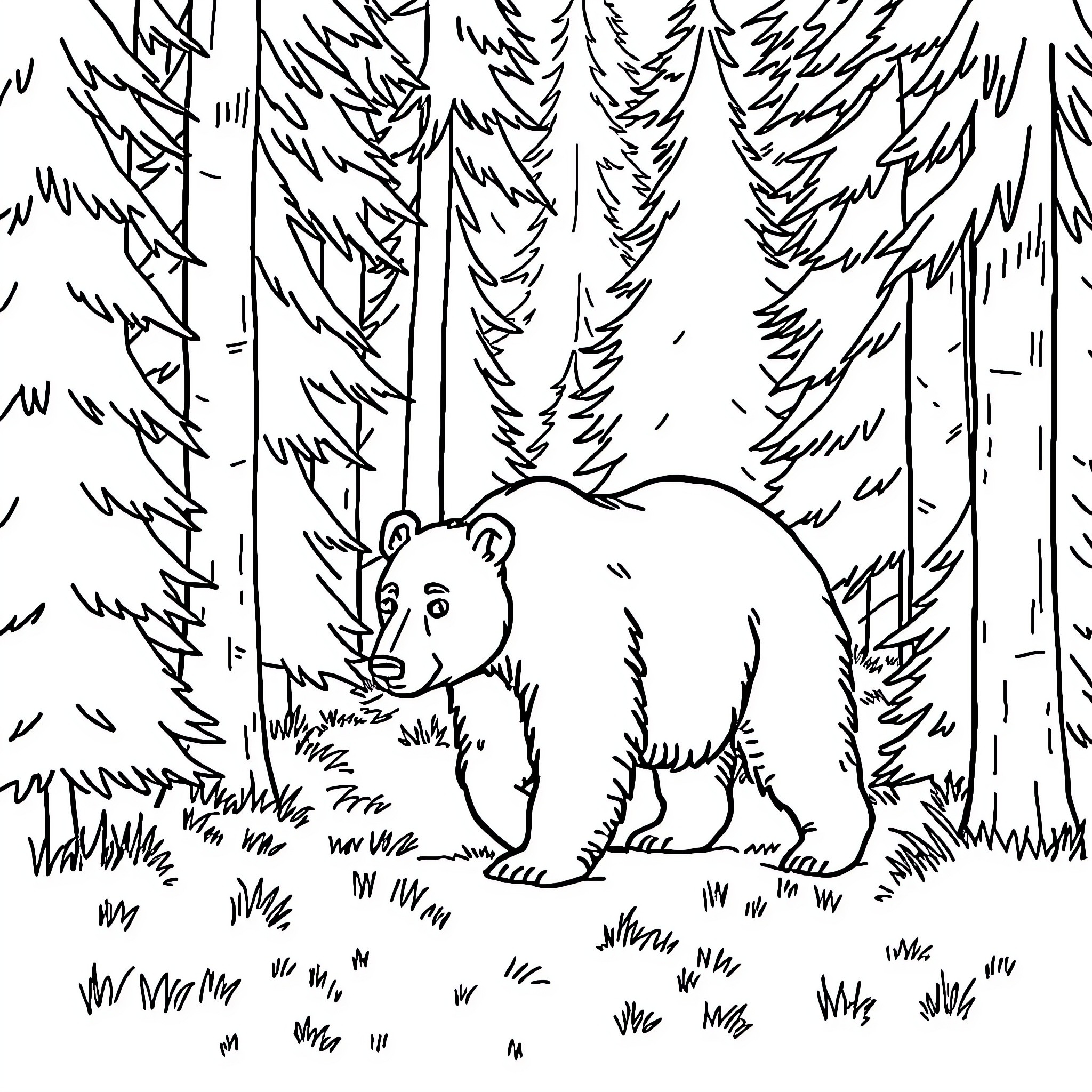 Bear exploring the forest Coloring Page (free black-and-white line drawing printable PDF for all, from beginners to advanced learners, including children, teens, adults, and seniors)