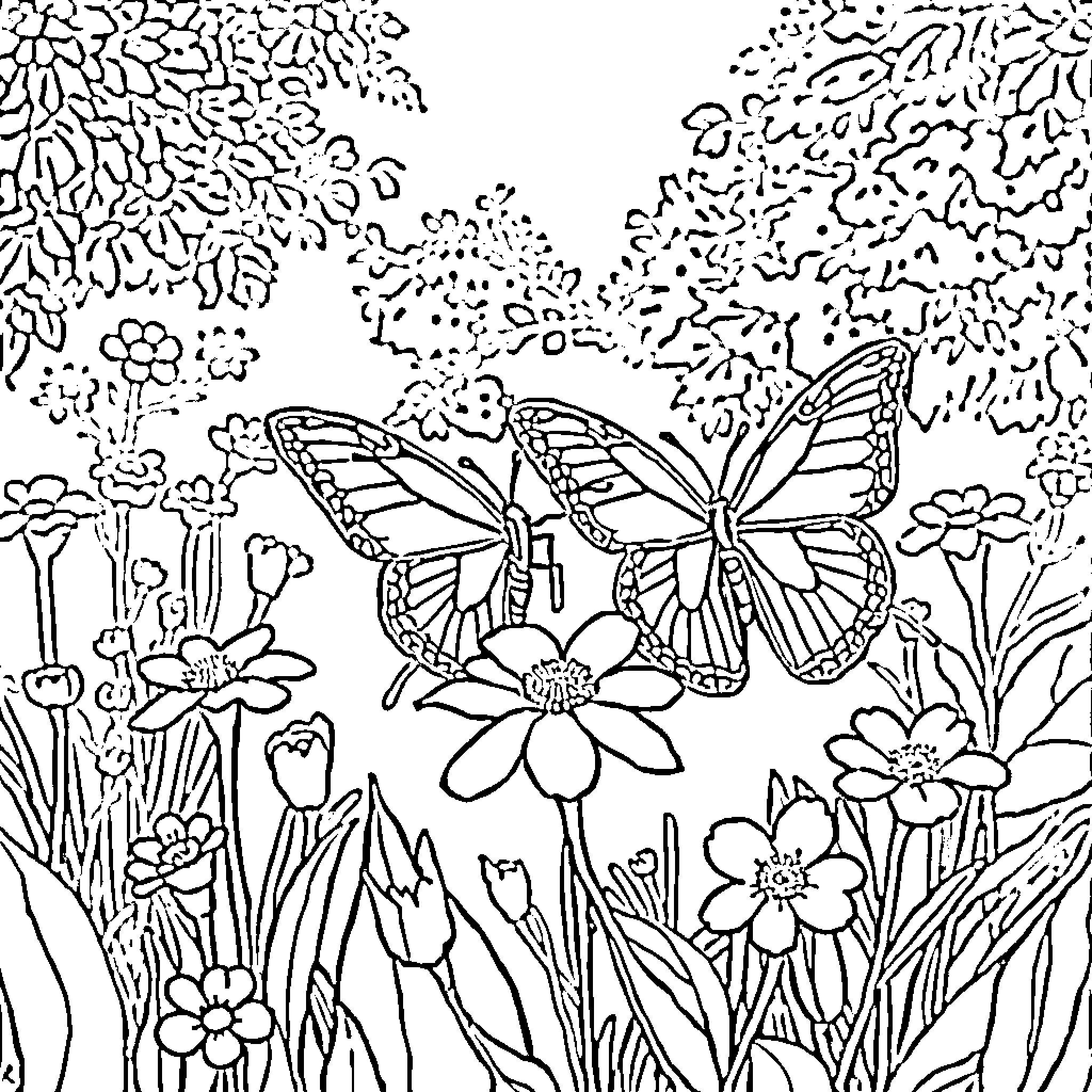 Butterfly resting on flowers in a garden Coloring Page (free black-and-white line drawing printable PDF for all, from beginners to advanced learners, including children, teens, adults, and seniors)