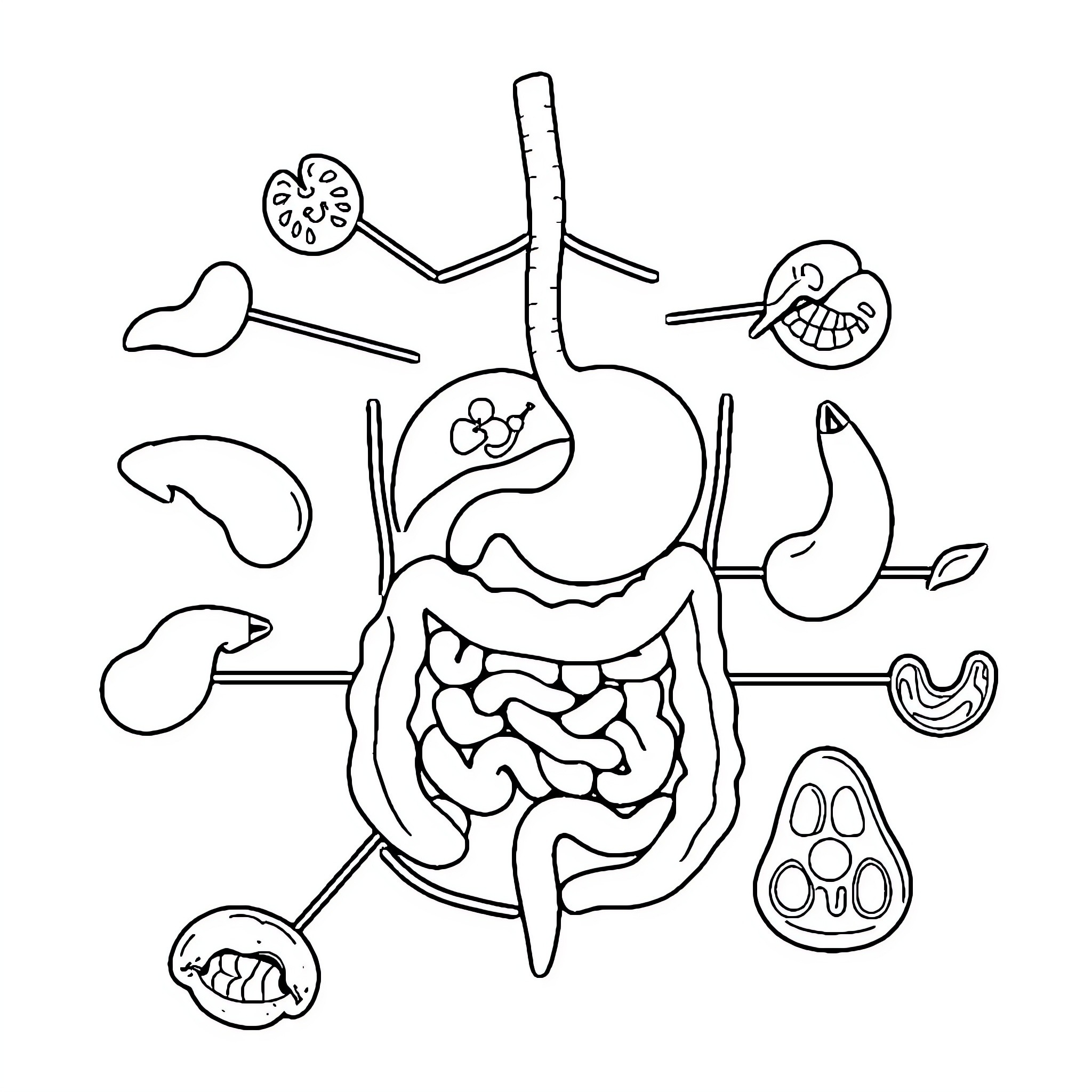 Digestive System Diagram with Stylized Organs Coloring Page (free black-and-white line drawing printable PDF for all, from beginners to advanced learners, including children, teens, adults, and seniors)