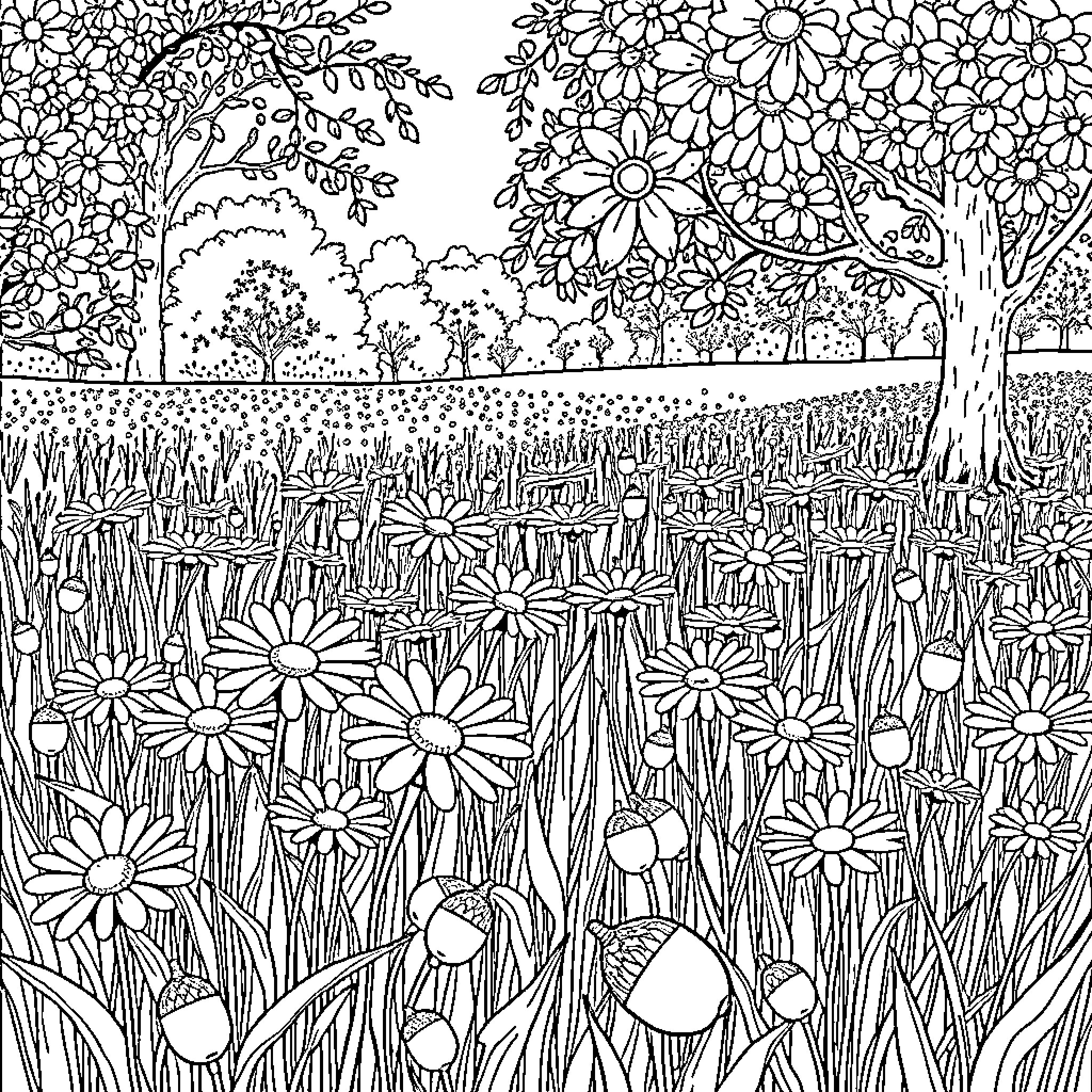 Daisy Meadow Enchanted by Nature Coloring Page (free black-and-white line drawing printable PDF for all, from beginners to advanced learners, including children, teens, adults, and seniors)