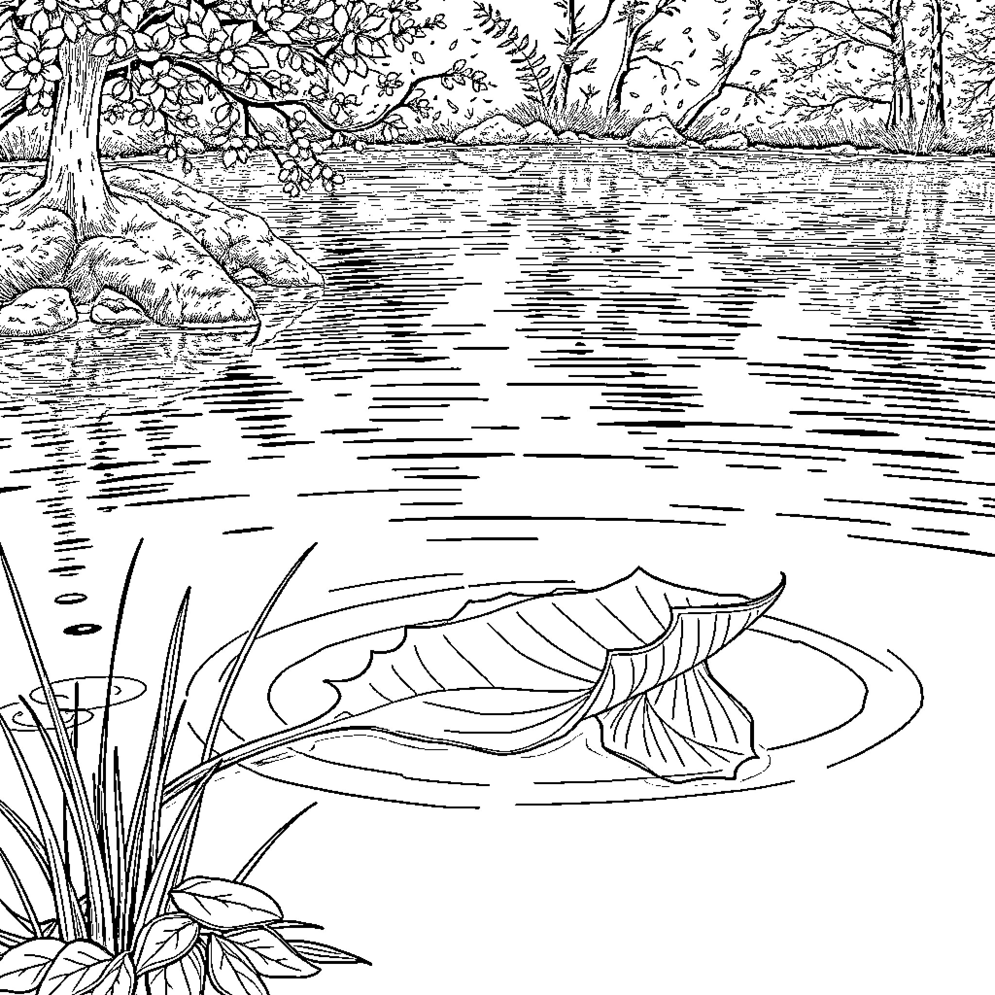 Leaf-covered pond with serene scenery Coloring Page (free black-and-white line drawing printable PDF for all, from beginners to advanced learners, including children, teens, adults, and seniors)