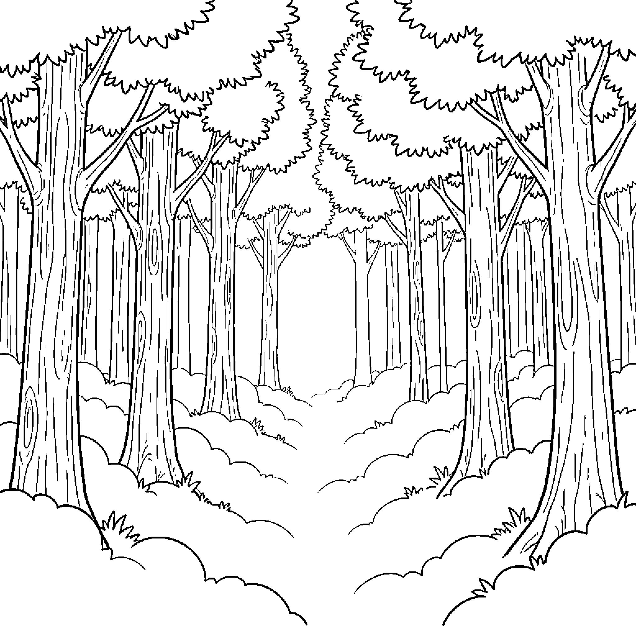 Cloud Forest with Intricate Trees and Foliage Coloring Page (free black-and-white line drawing printable PDF for all, from beginners to advanced learners, including children, teens, adults, and seniors)