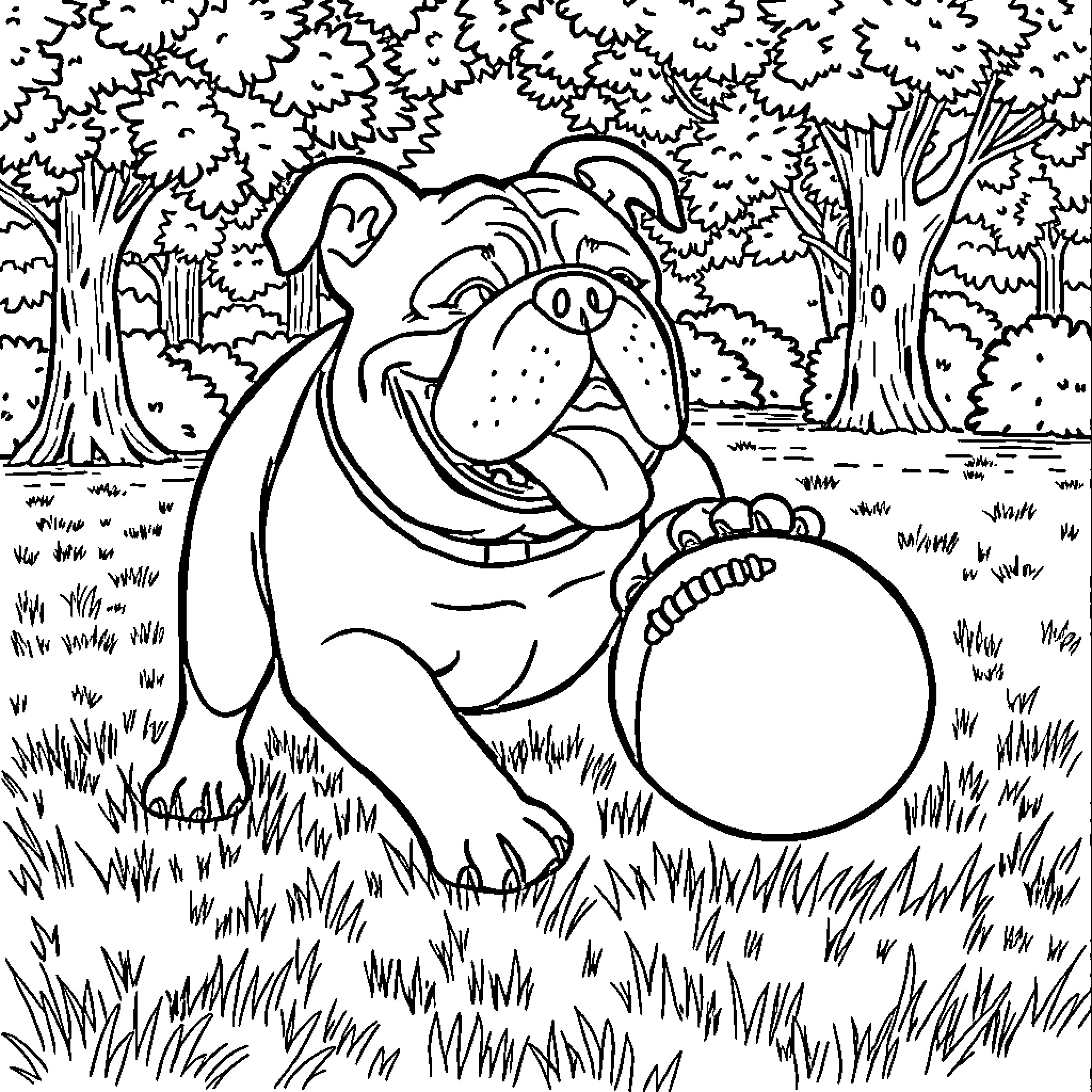 Bulldog playing with a toy ball in a forest Coloring Page (free black-and-white line drawing printable PDF for all, from beginners to advanced learners, including children, teens, adults, and seniors)