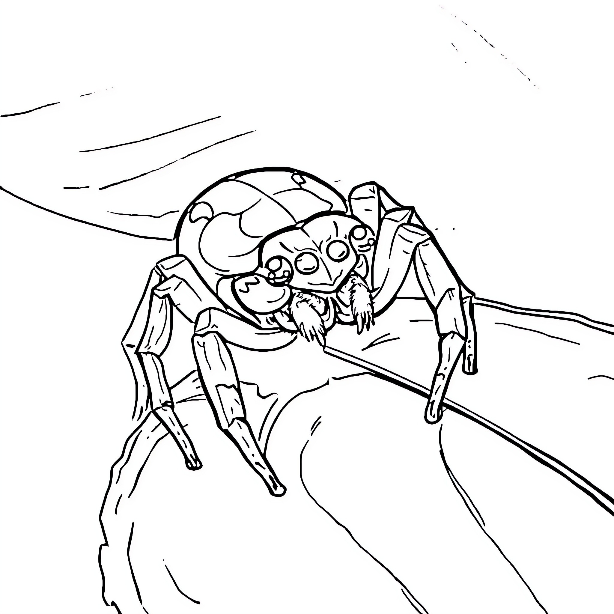 Spider crawling across the rocky surface Coloring Page (free black-and-white line drawing printable PDF for all, from beginners to advanced learners, including children, teens, adults, and seniors)