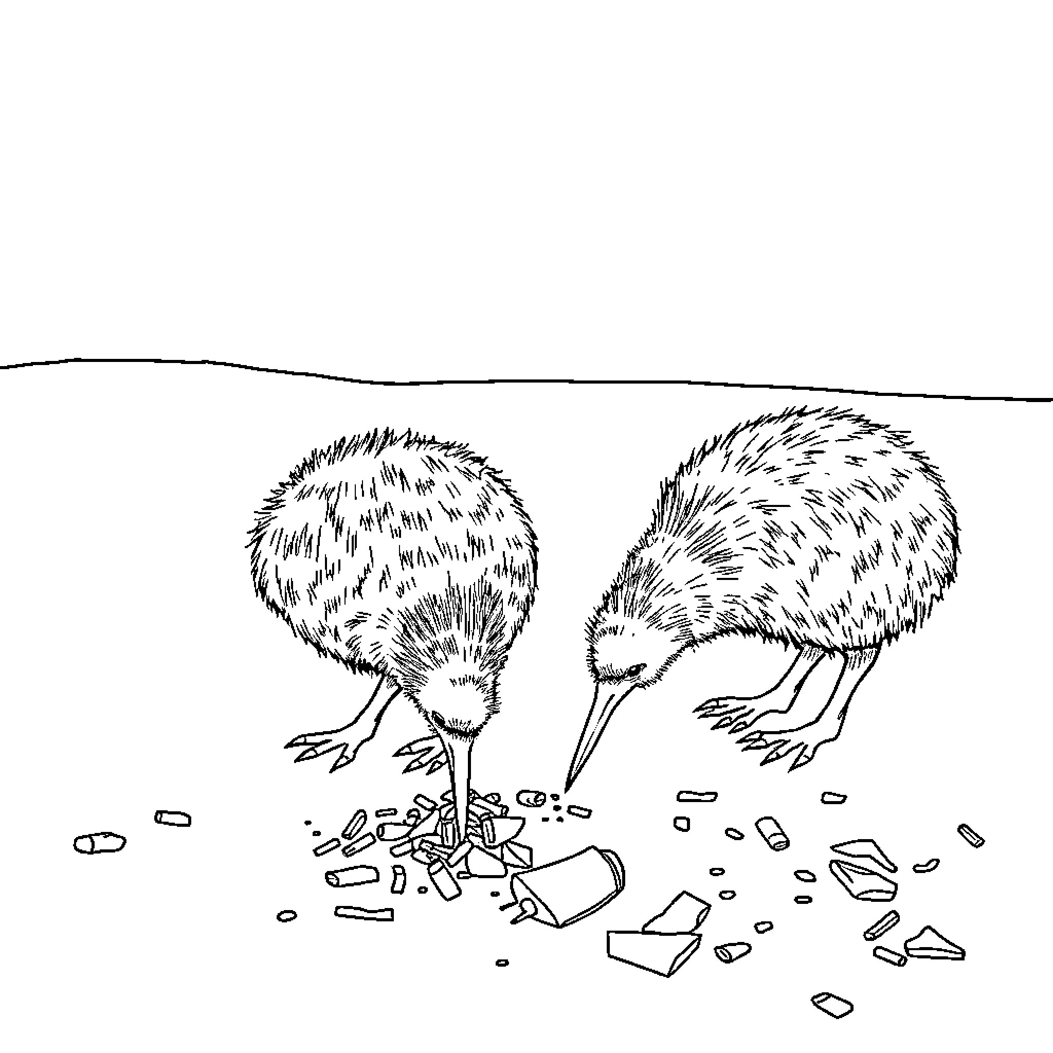 Kiwi birds foraging on the ground Coloring Page (free black-and-white line drawing printable PDF for all, from beginners to advanced learners, including children, teens, adults, and seniors)