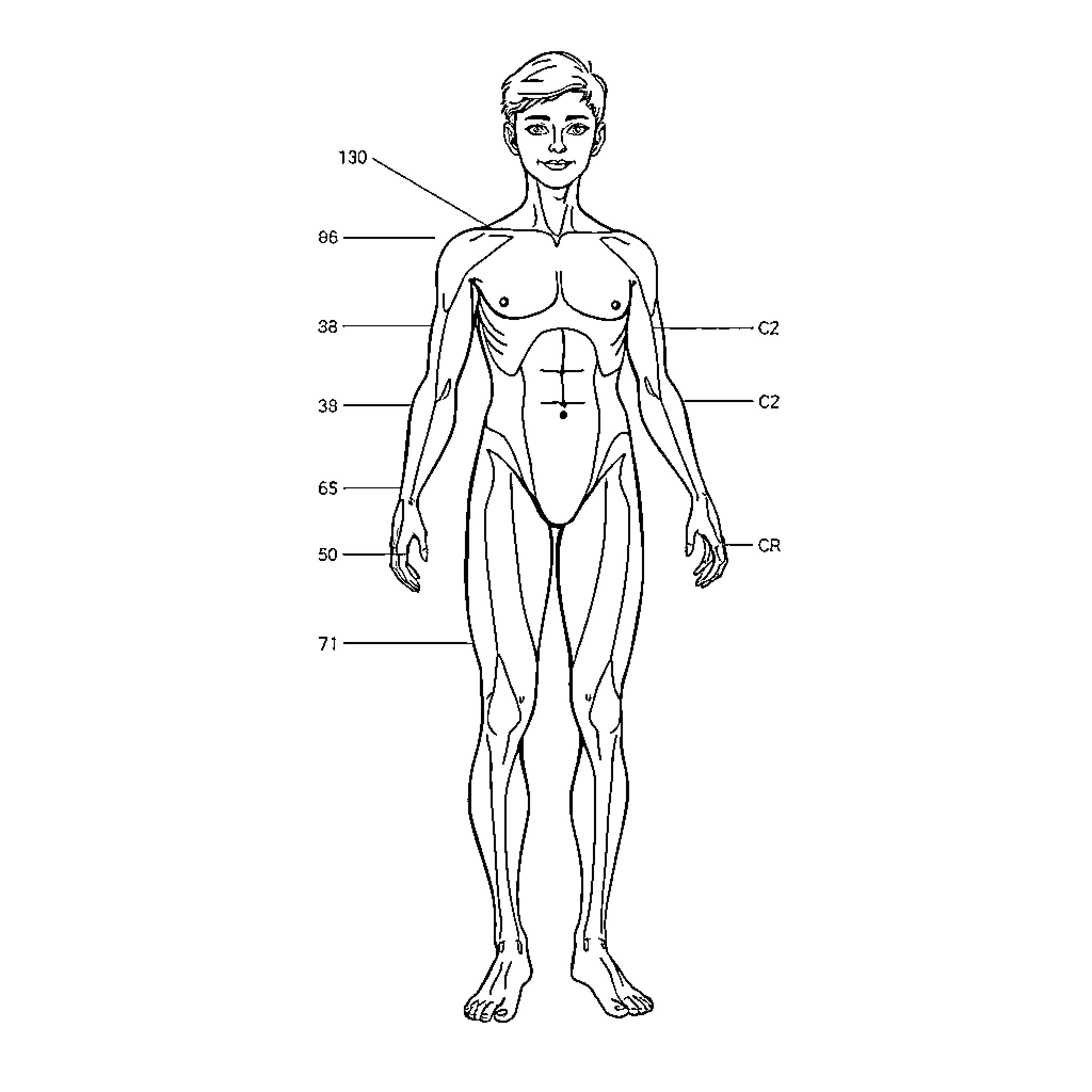 Body Anatomical Diagram of Human Figure Coloring Page (free black-and-white line drawing printable PDF for all, from beginners to advanced learners, including children, teens, adults, and seniors)