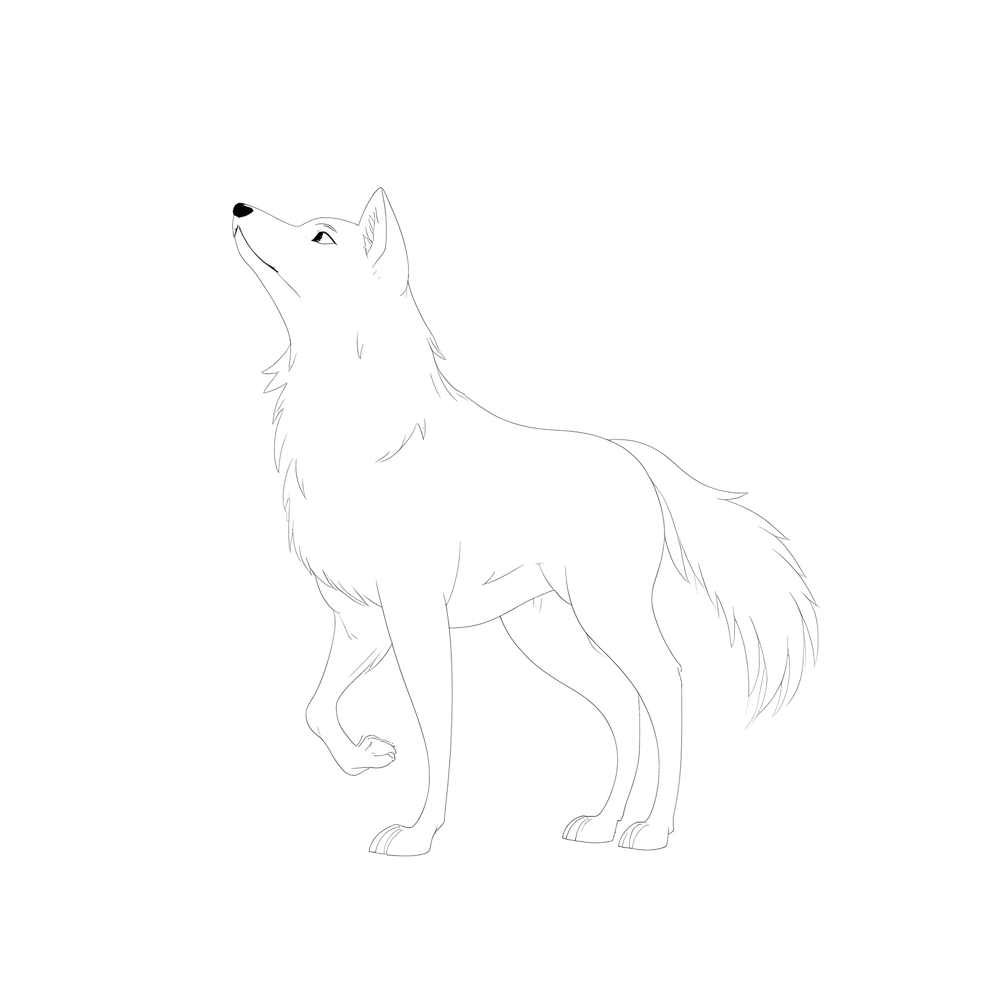 Wolf standing alert and attentive Coloring Page (free black-and-white line drawing printable PDF for all, from beginners to advanced learners, including children, teens, adults, and seniors)