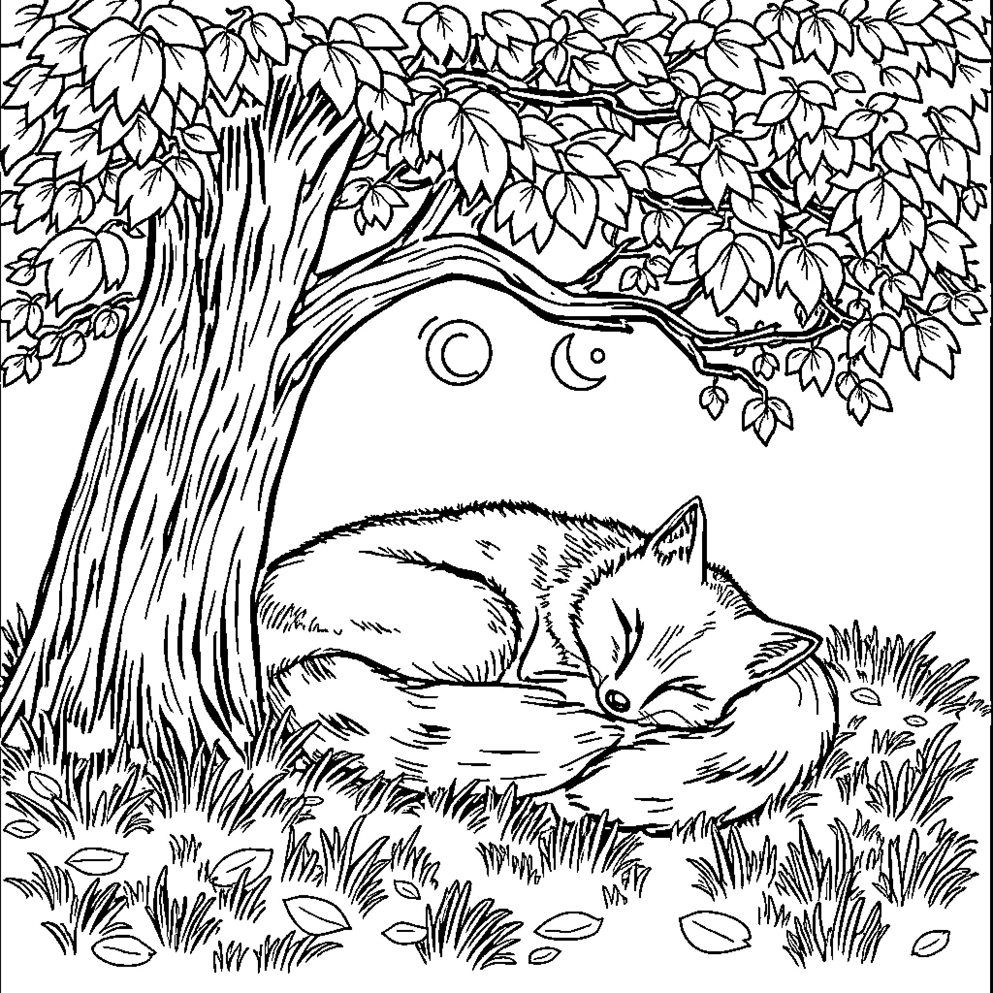 Fox sleeping peacefully in a forest Coloring Page (free black-and-white line drawing printable PDF for all, from beginners to advanced learners, including children, teens, adults, and seniors)