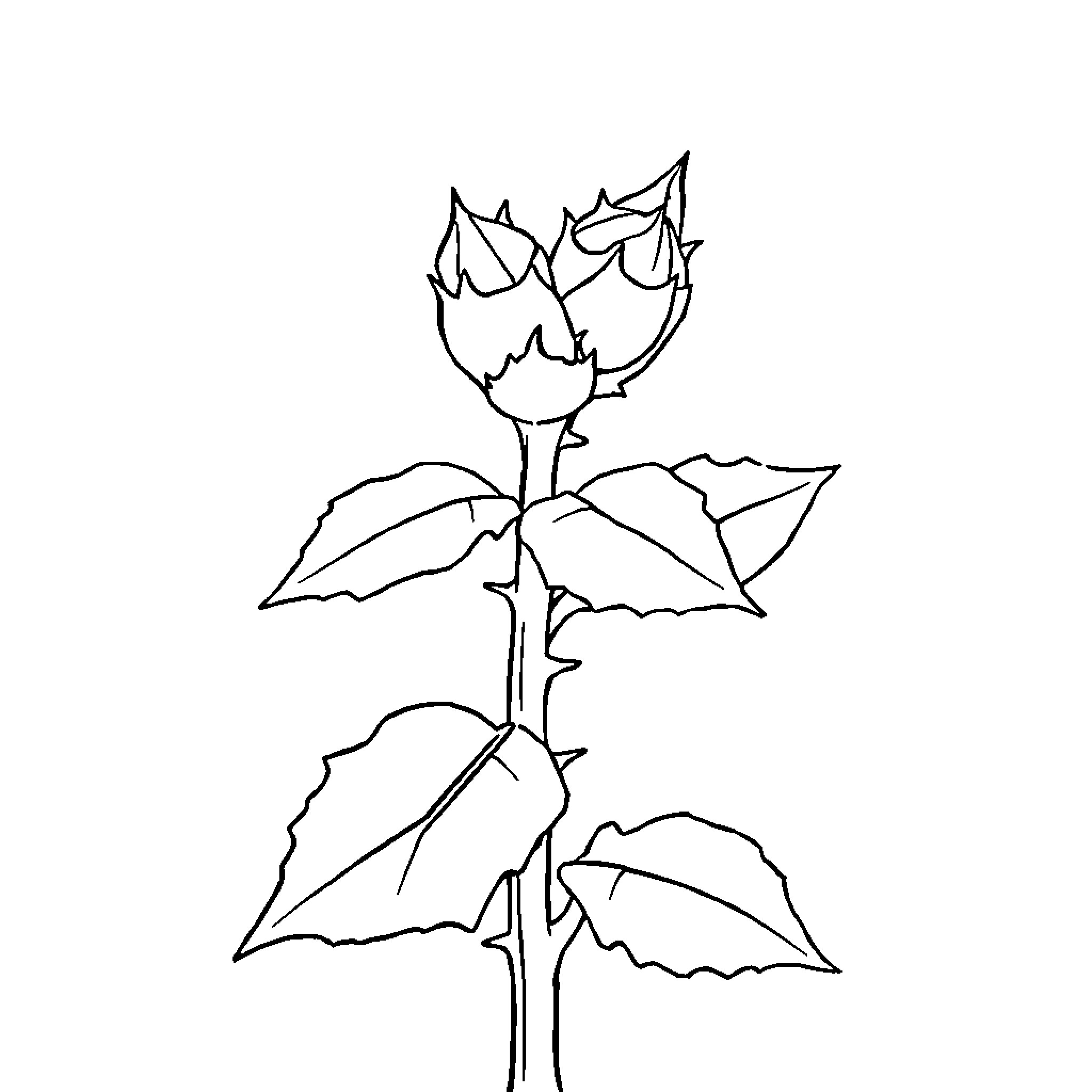 Camel-shaped flower with leaves Coloring Page (free black-and-white line drawing printable PDF for all, from beginners to advanced learners, including children, teens, adults, and seniors)