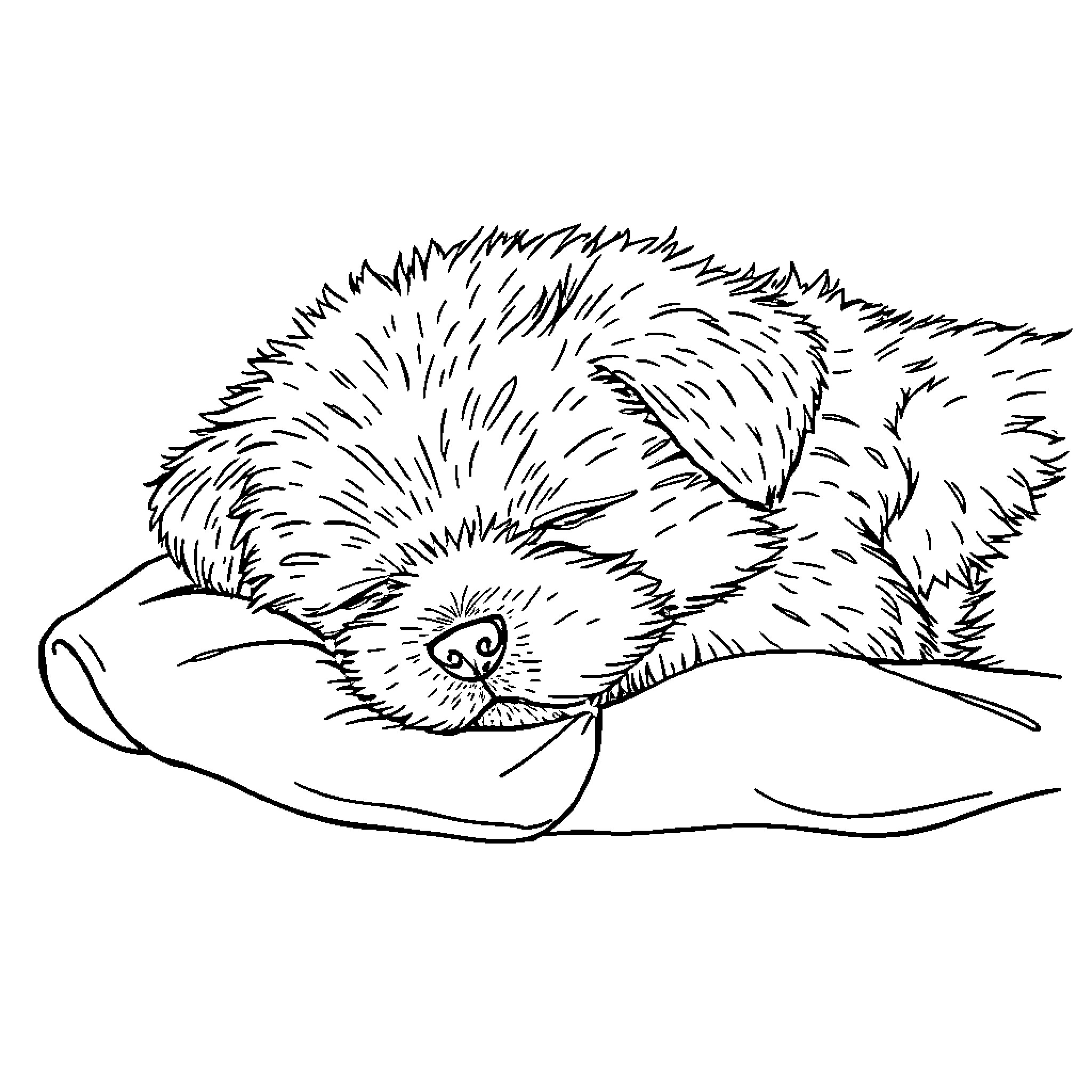 Dog sleeping peacefully on cozy pillow Coloring Page (free black-and-white line drawing printable PDF for all, from beginners to advanced learners, including children, teens, adults, and seniors)