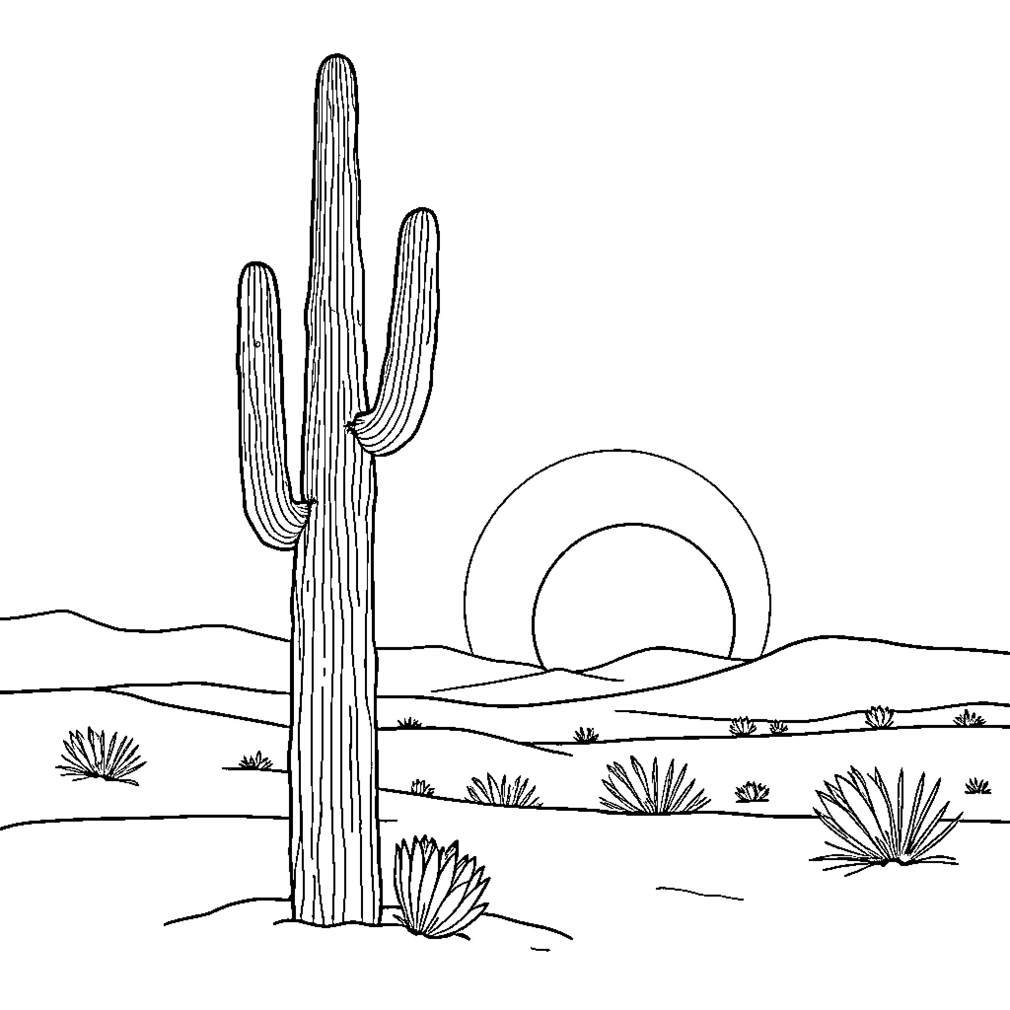 Cactus in desert landscape at sunset Coloring Page (free black-and-white line drawing printable PDF for all, from beginners to advanced learners, including children, teens, adults, and seniors)