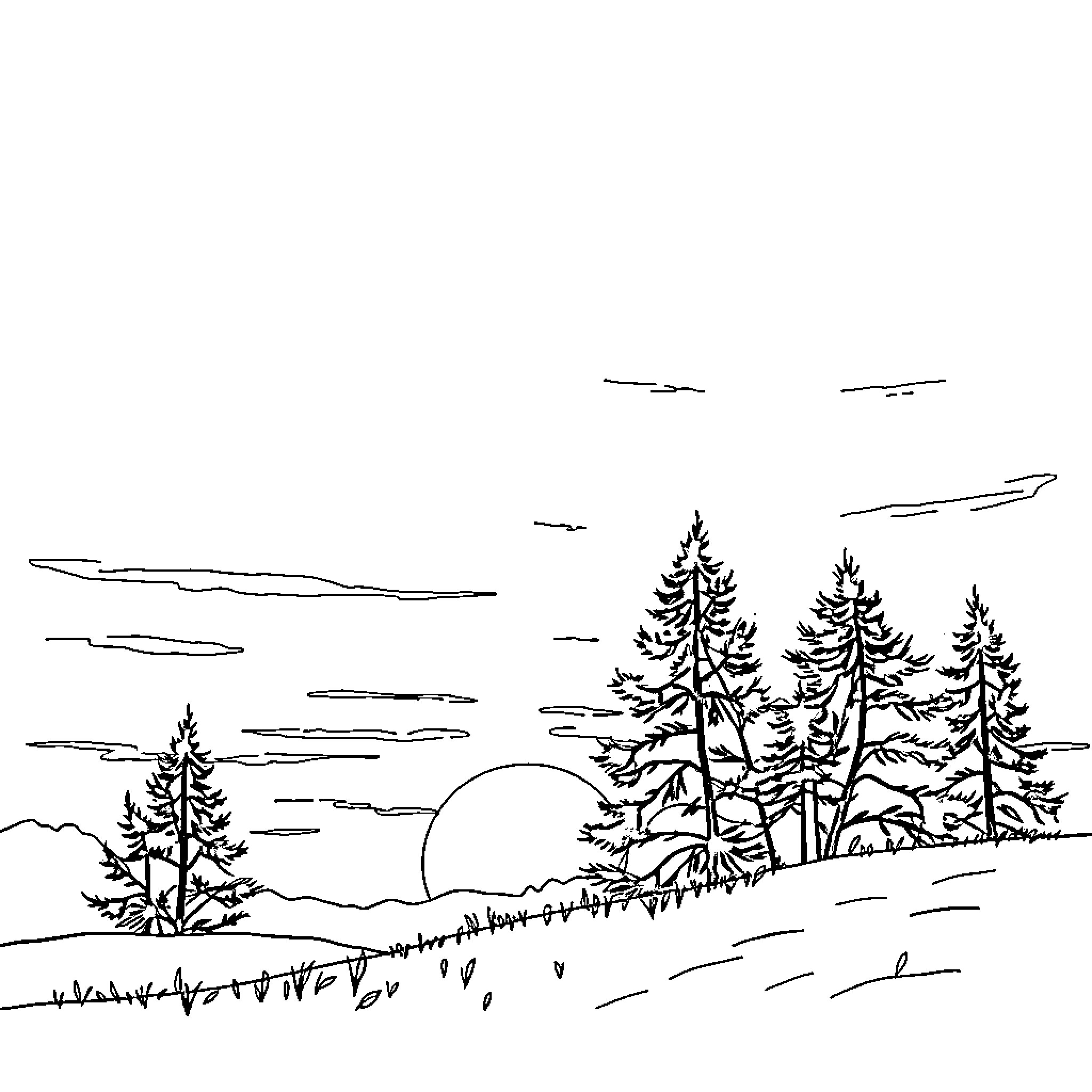 Sunrise over the snowy pine forest Coloring Page (free black-and-white line drawing printable PDF for all, from beginners to advanced learners, including children, teens, adults, and seniors)
