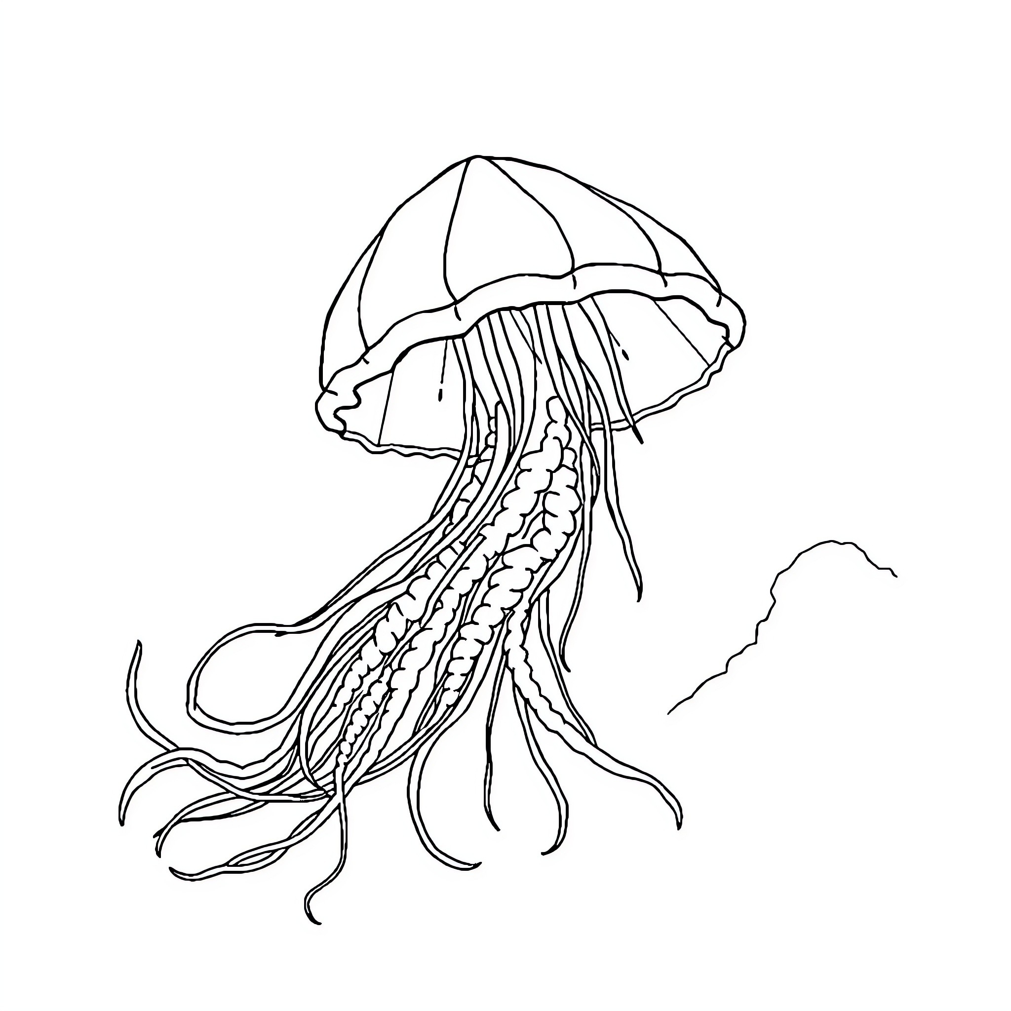 Jellyfish swimming gracefully in the ocean Coloring Page (free black-and-white line drawing printable PDF for all, from beginners to advanced learners, including children, teens, adults, and seniors)