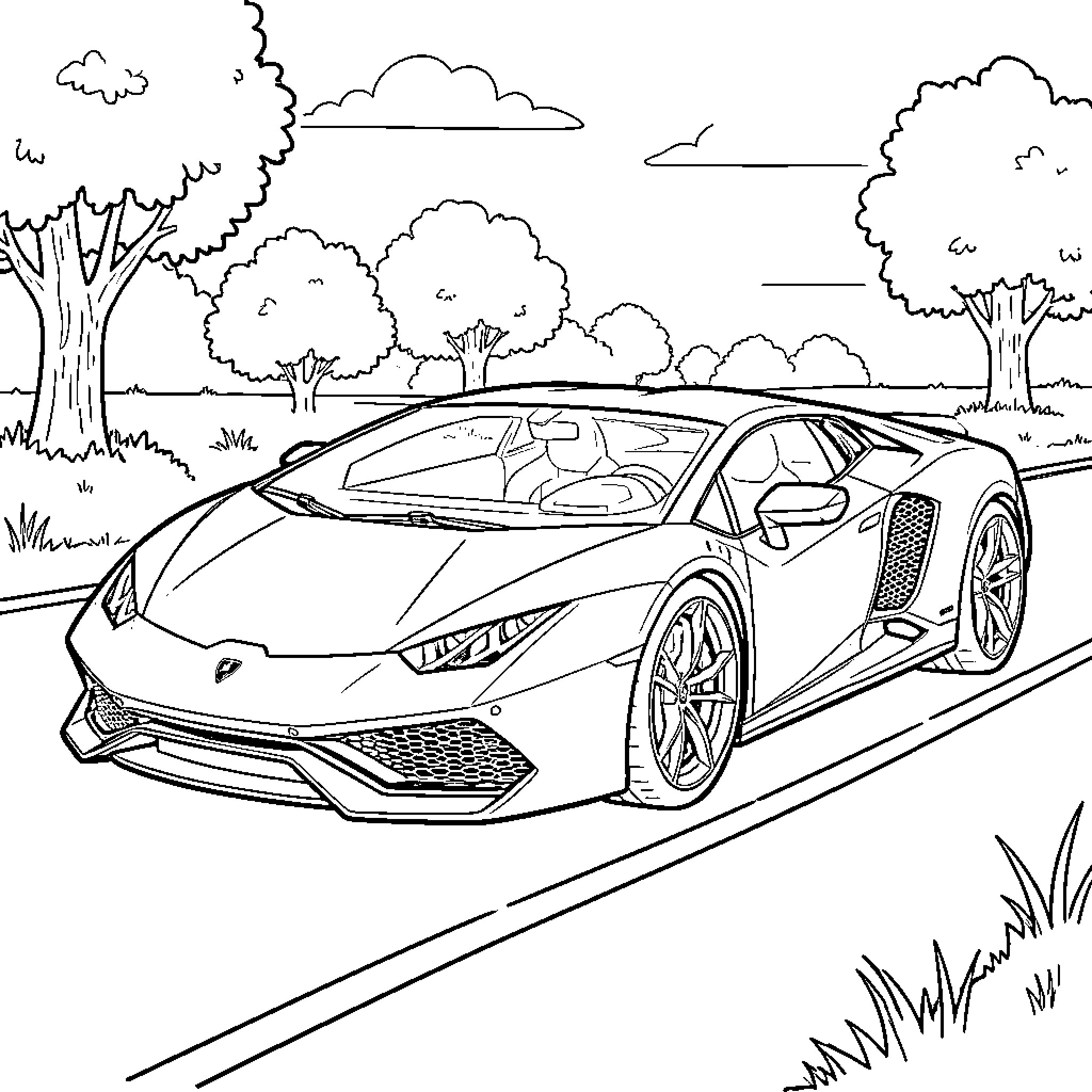 Lamborghini driving fast on a scenic road Coloring Page (free black-and-white line drawing printable PDF for all, from beginners to advanced learners, including children, teens, adults, and seniors)
