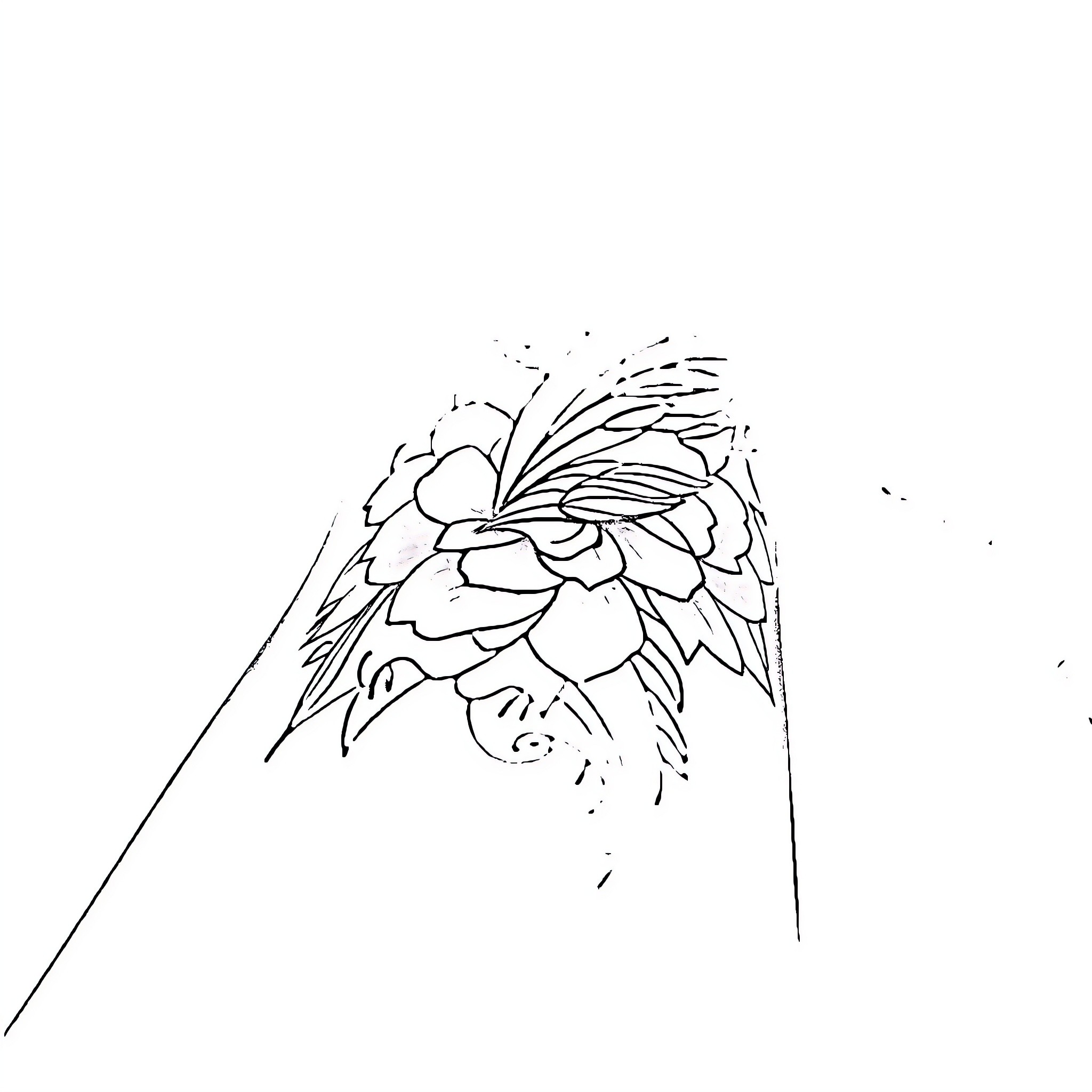 Tattoo of an abstract floral design Coloring Page (free black-and-white line drawing printable PDF for all, from beginners to advanced learners, including children, teens, adults, and seniors)