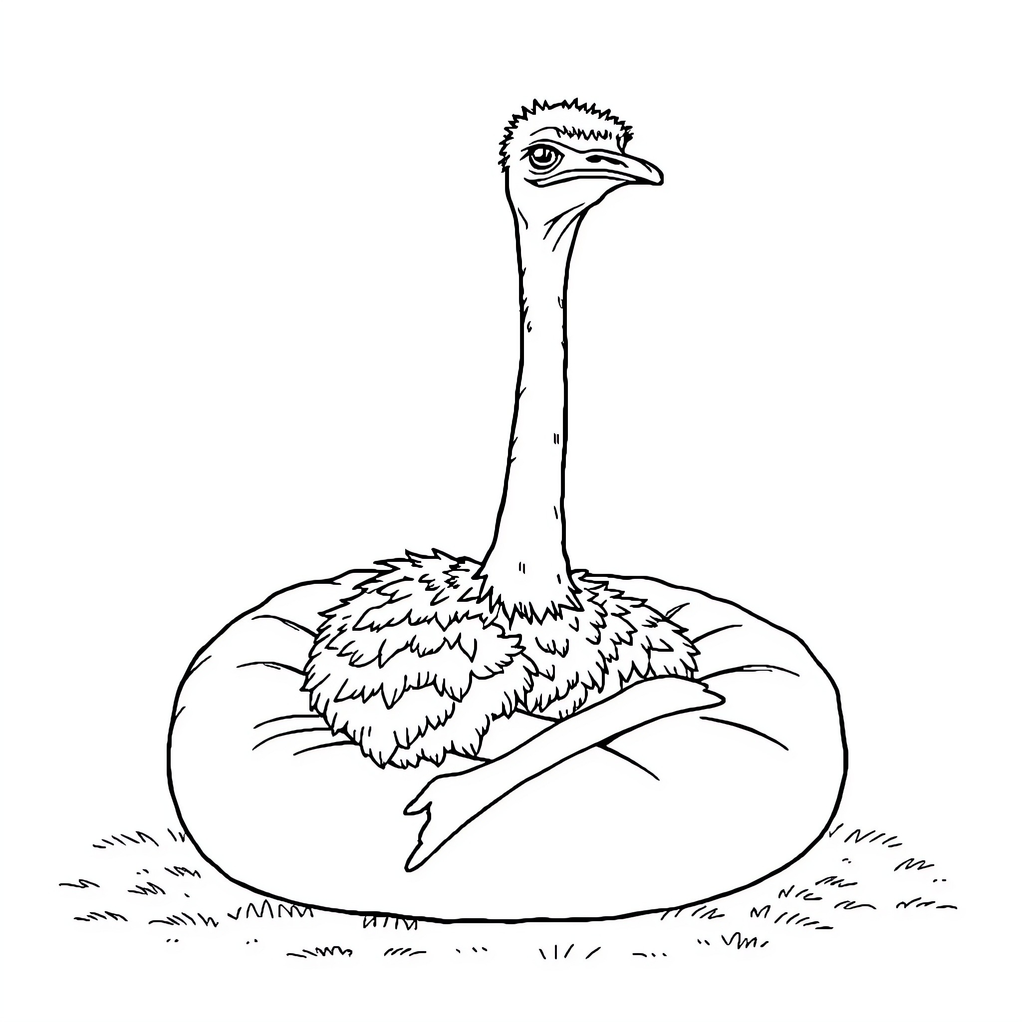 Ostrich sitting in its nest Coloring Page (free black-and-white line drawing printable PDF for all, from beginners to advanced learners, including children, teens, adults, and seniors)