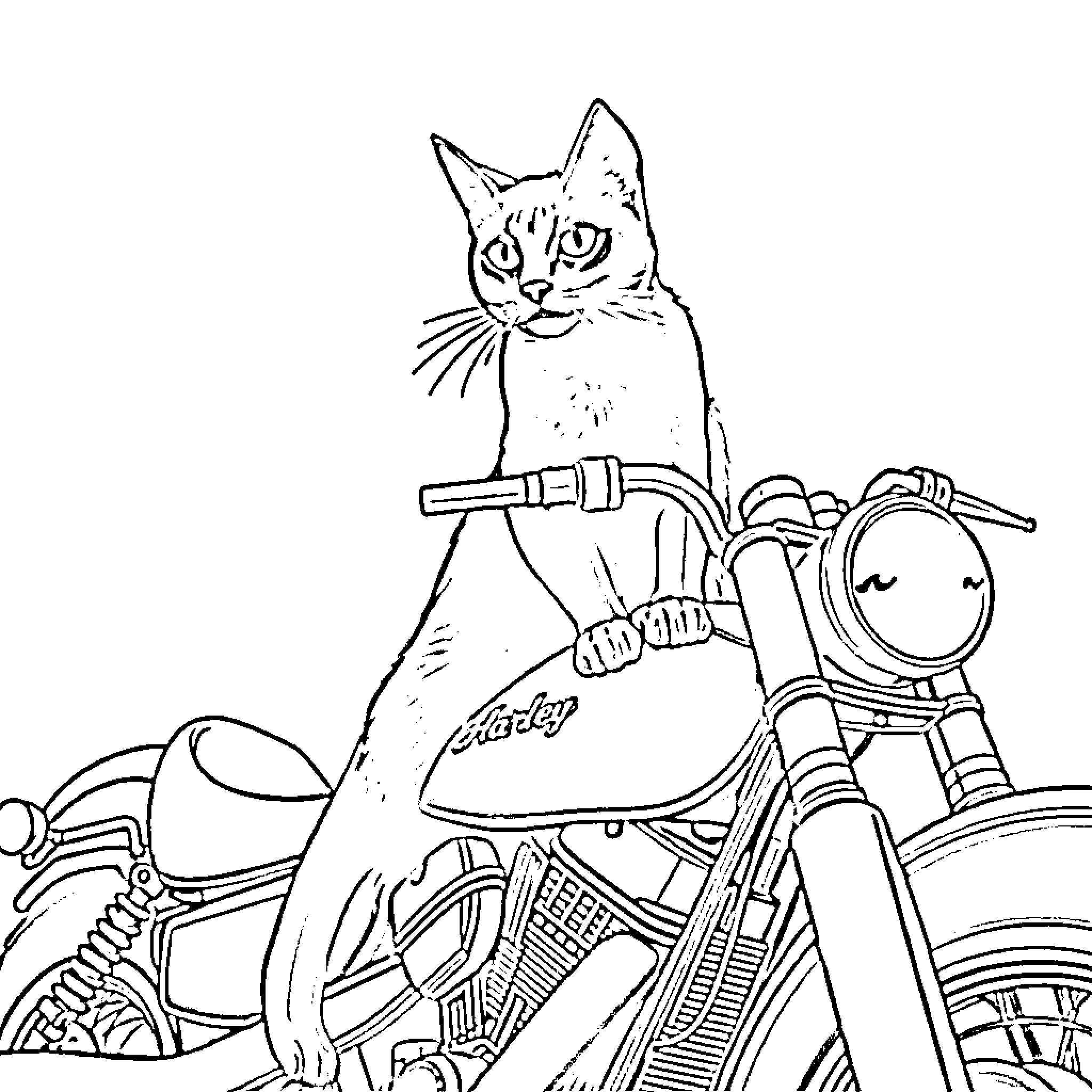 Cat riding a motorcycle in black and white Coloring Page (free black-and-white line drawing printable PDF for all, from beginners to advanced learners, including children, teens, adults, and seniors)